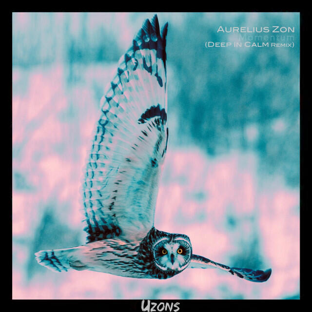 Релиз Momentum (Deep In Calm Remix)