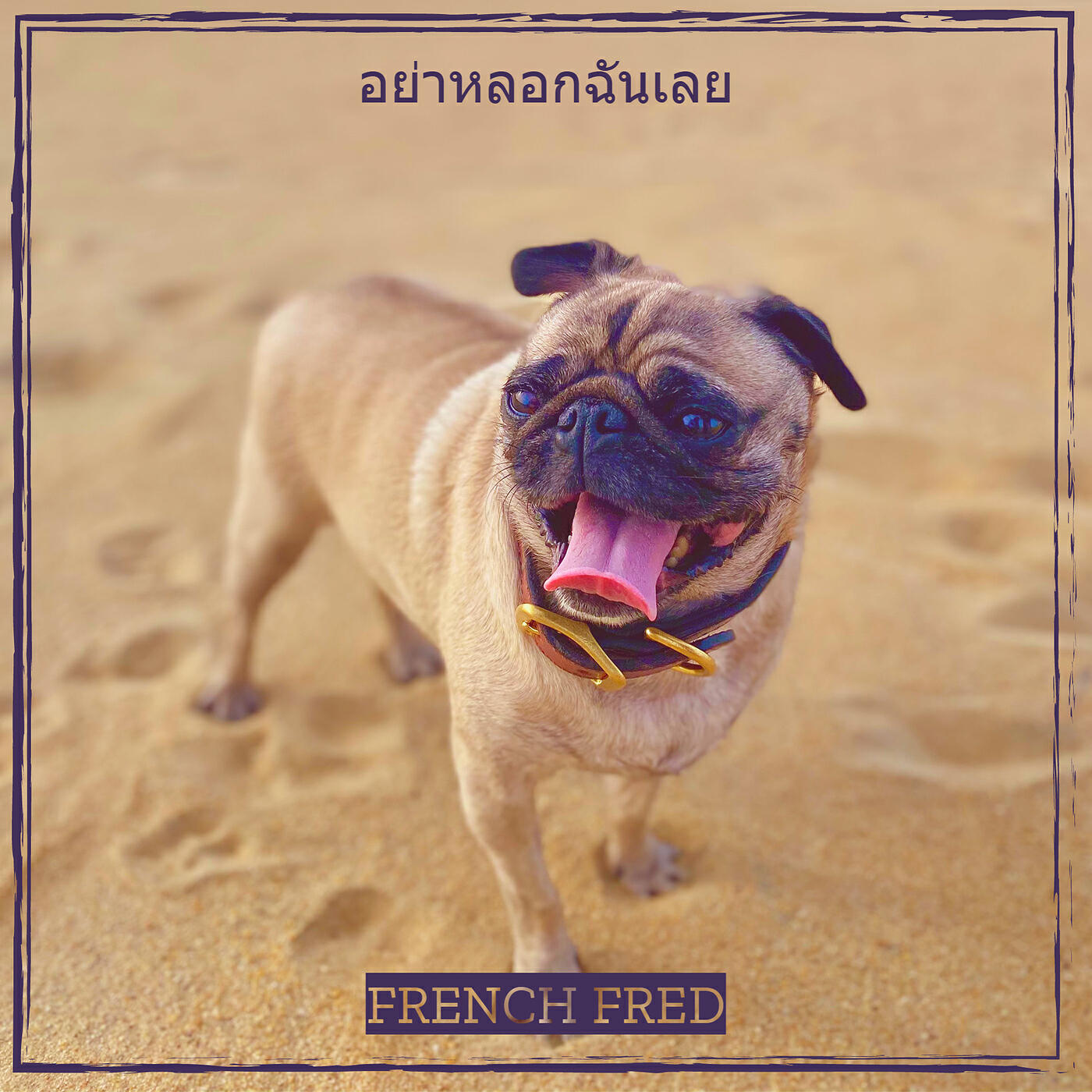Релиз อย่าหลอกฉันเลย