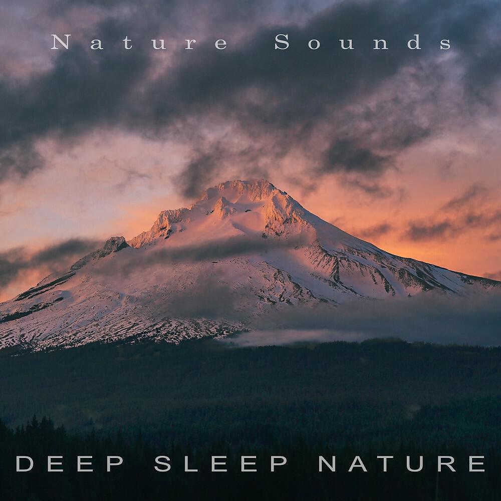 Релиз Deep Sleep Nature