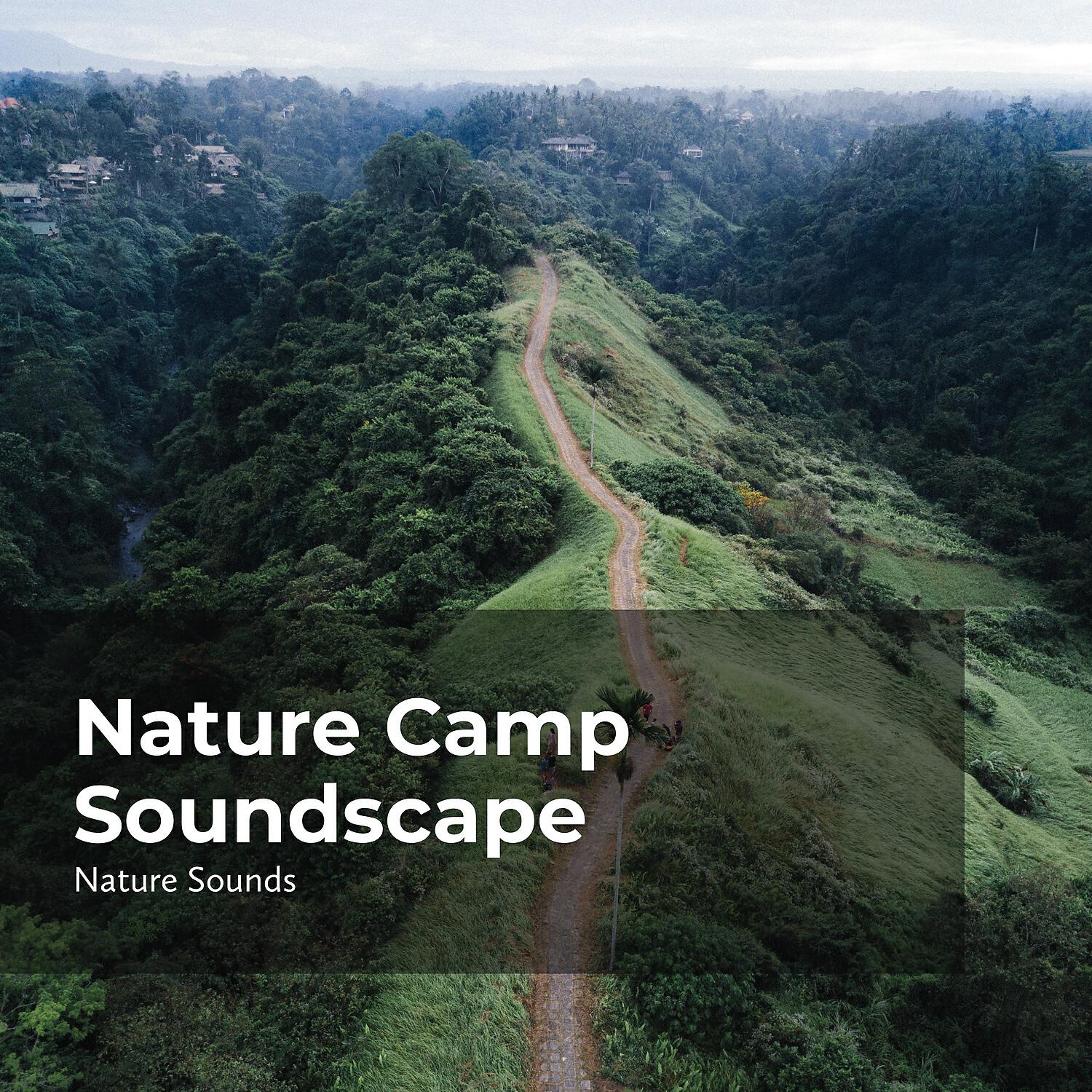 Релиз Nature Camp Soundscape