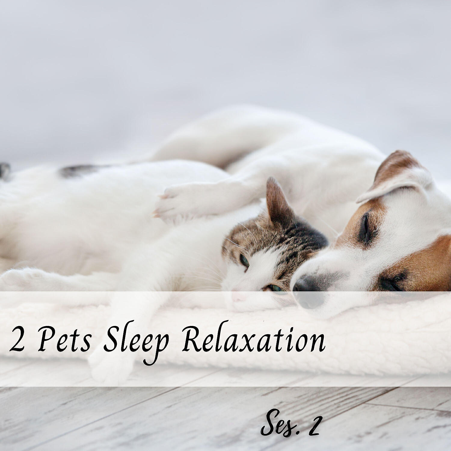 Релиз 2 Pets Sleep Relaxation Ses. 2