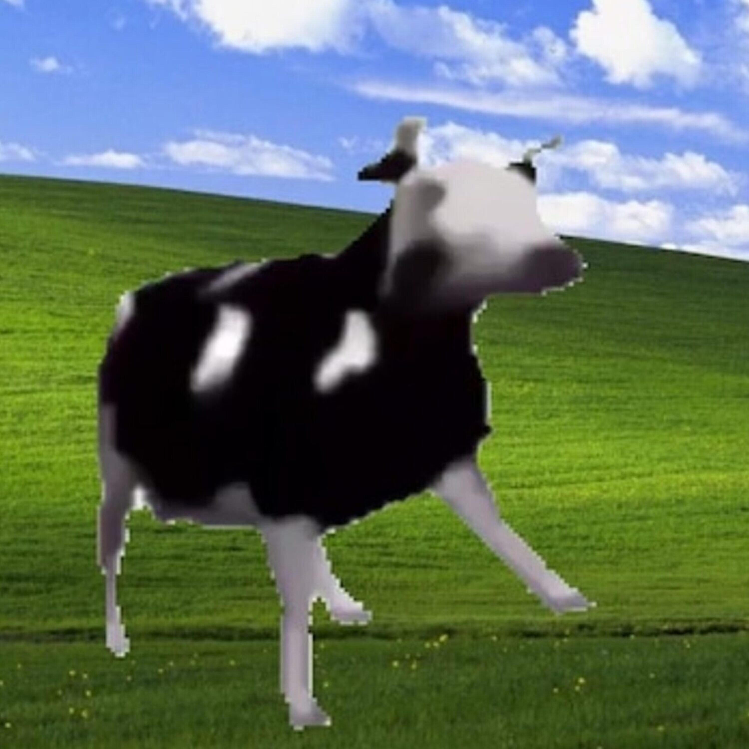 Релиз Dancing Polish Cow