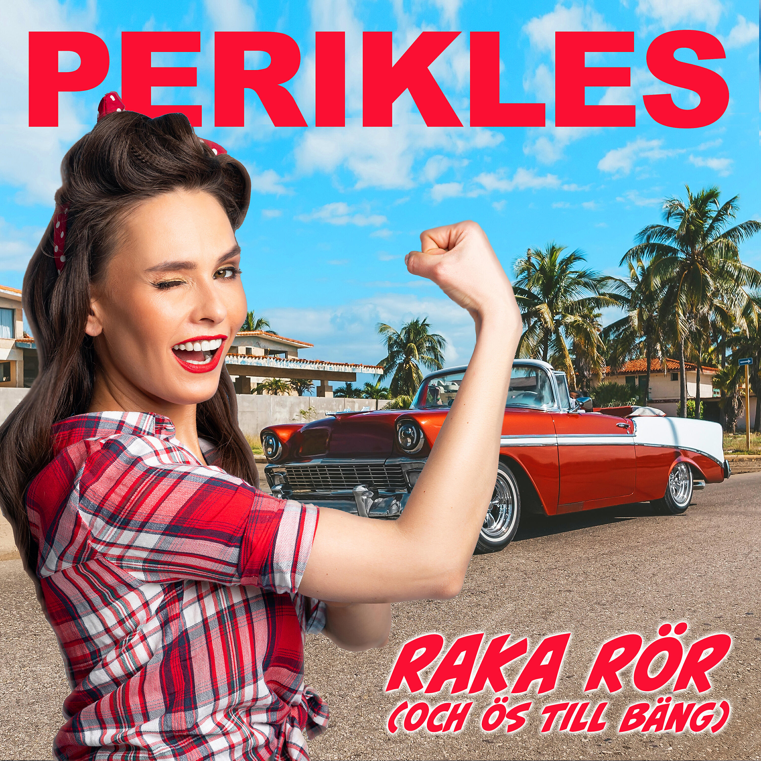 Релиз Raka rör (och ös till bäng)