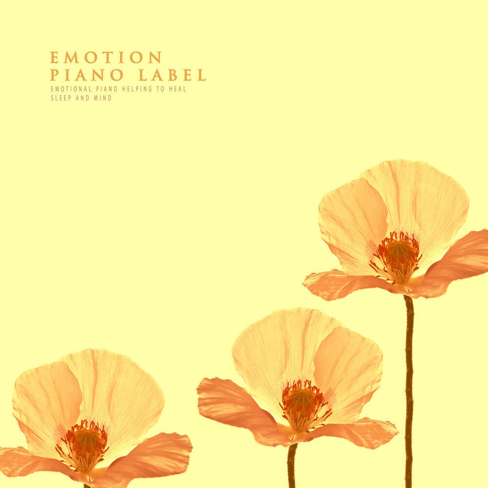 Релиз Emotional Piano Helping To Heal Sleep And Mind