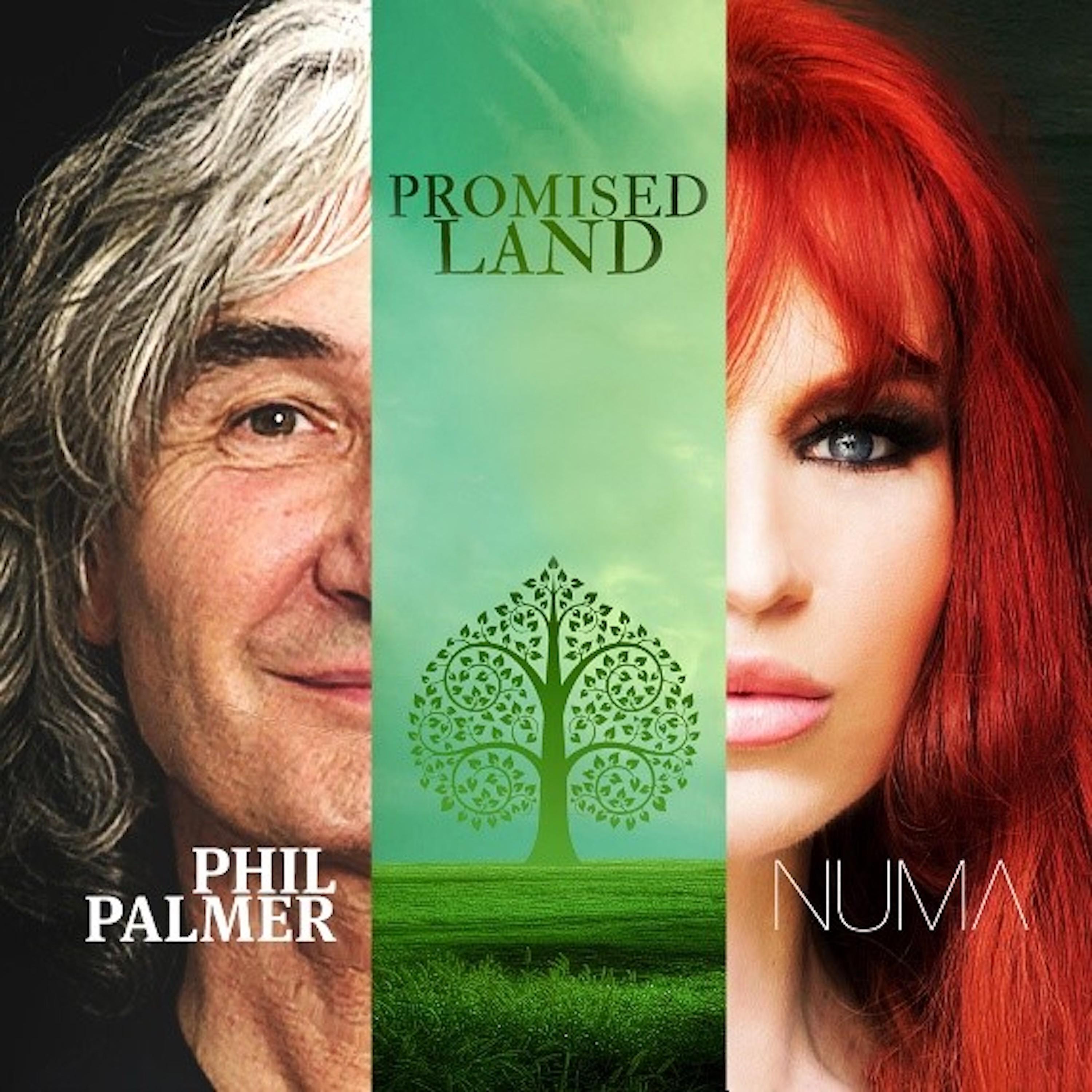 Phil Palmer