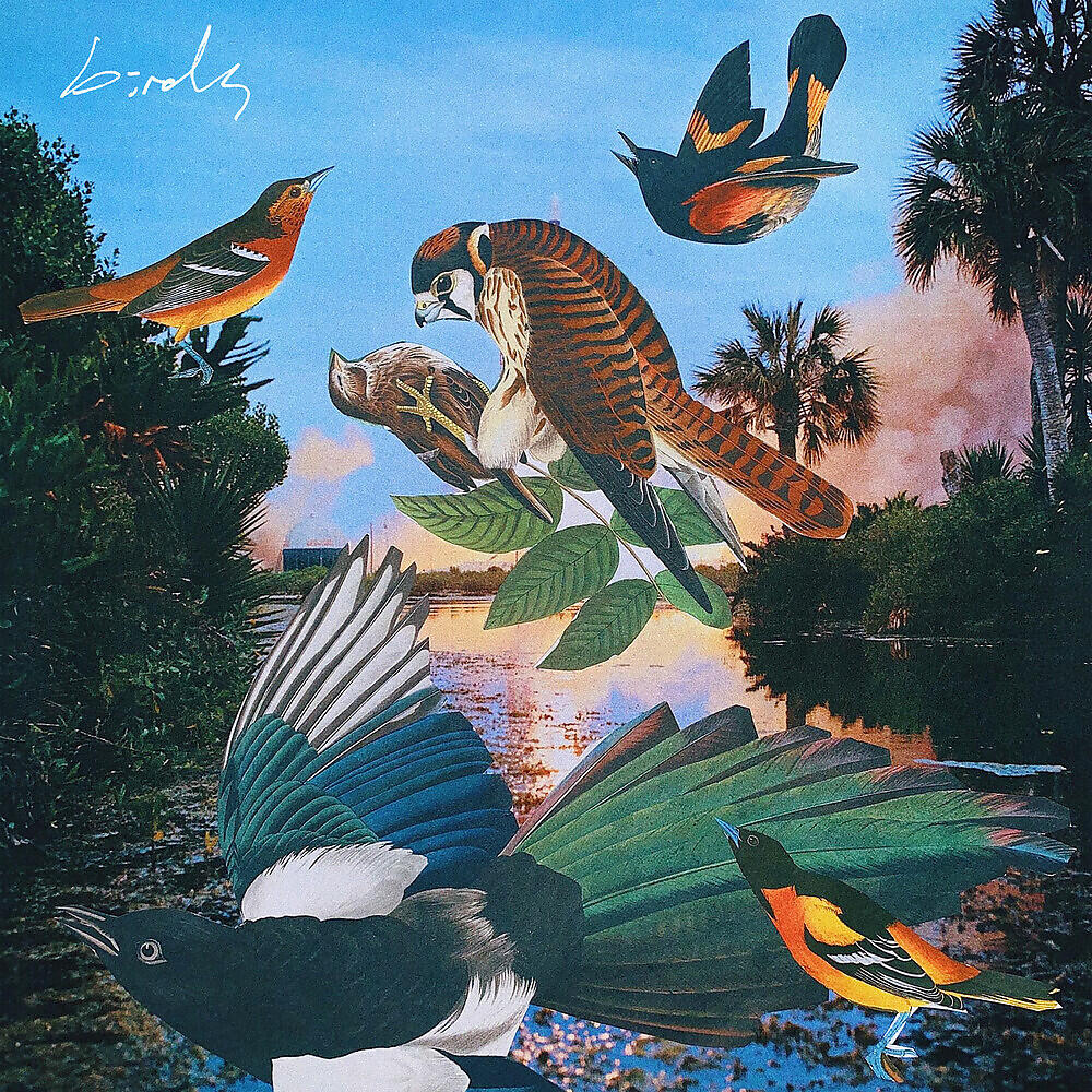 Релиз Birds