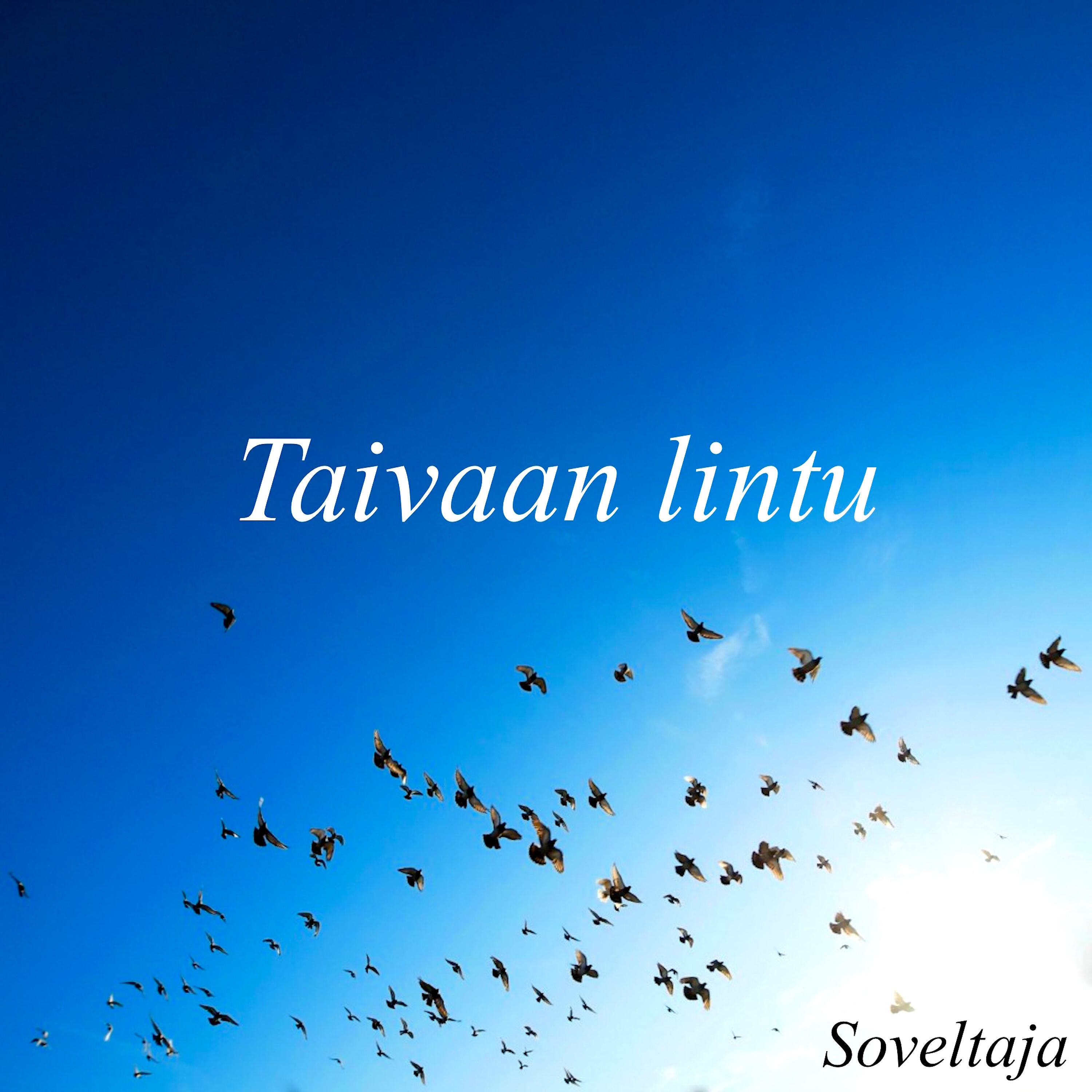 Релиз Taivaan lintu