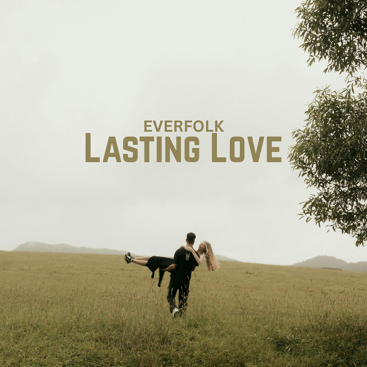 Релиз Lasting Love