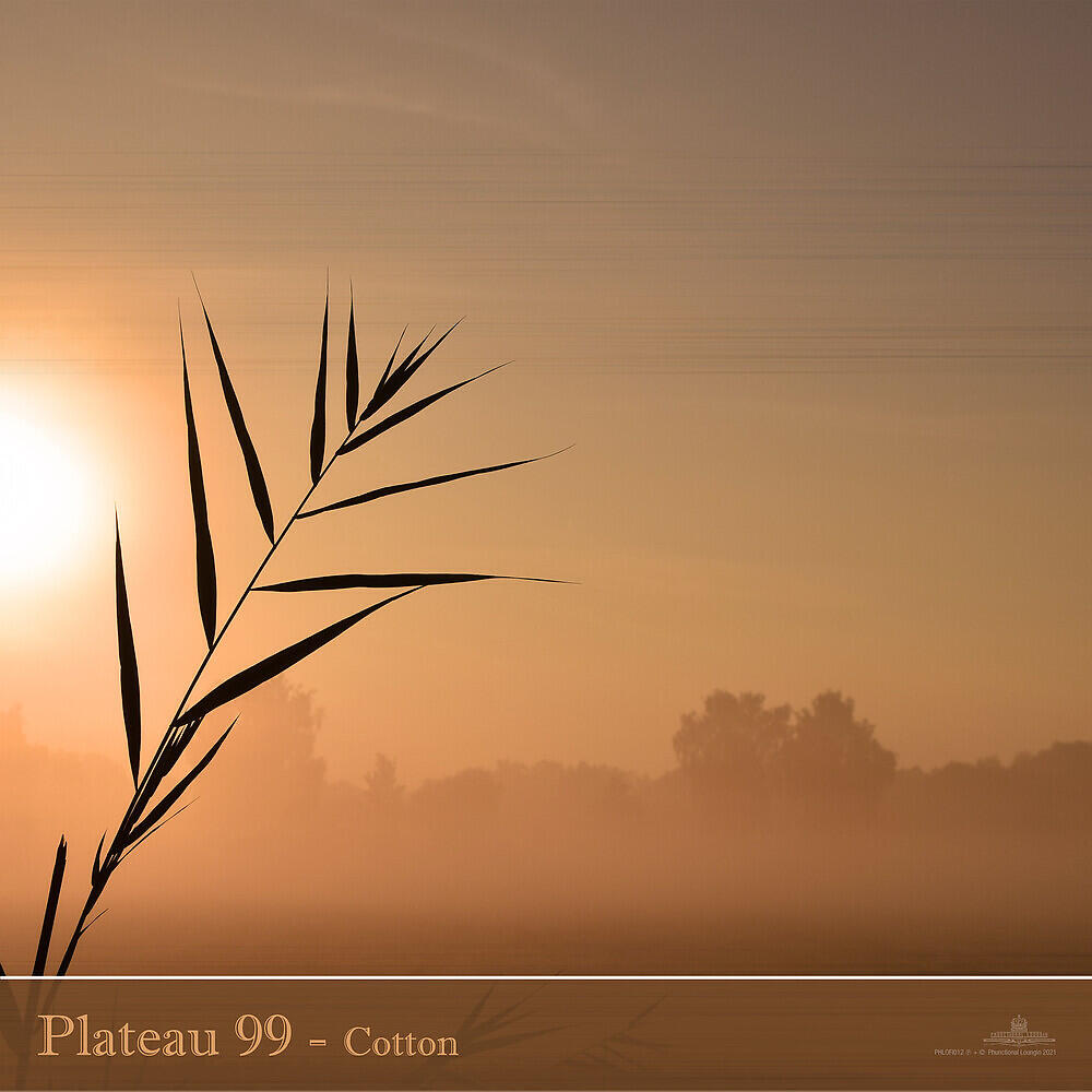 Релиз Cotton