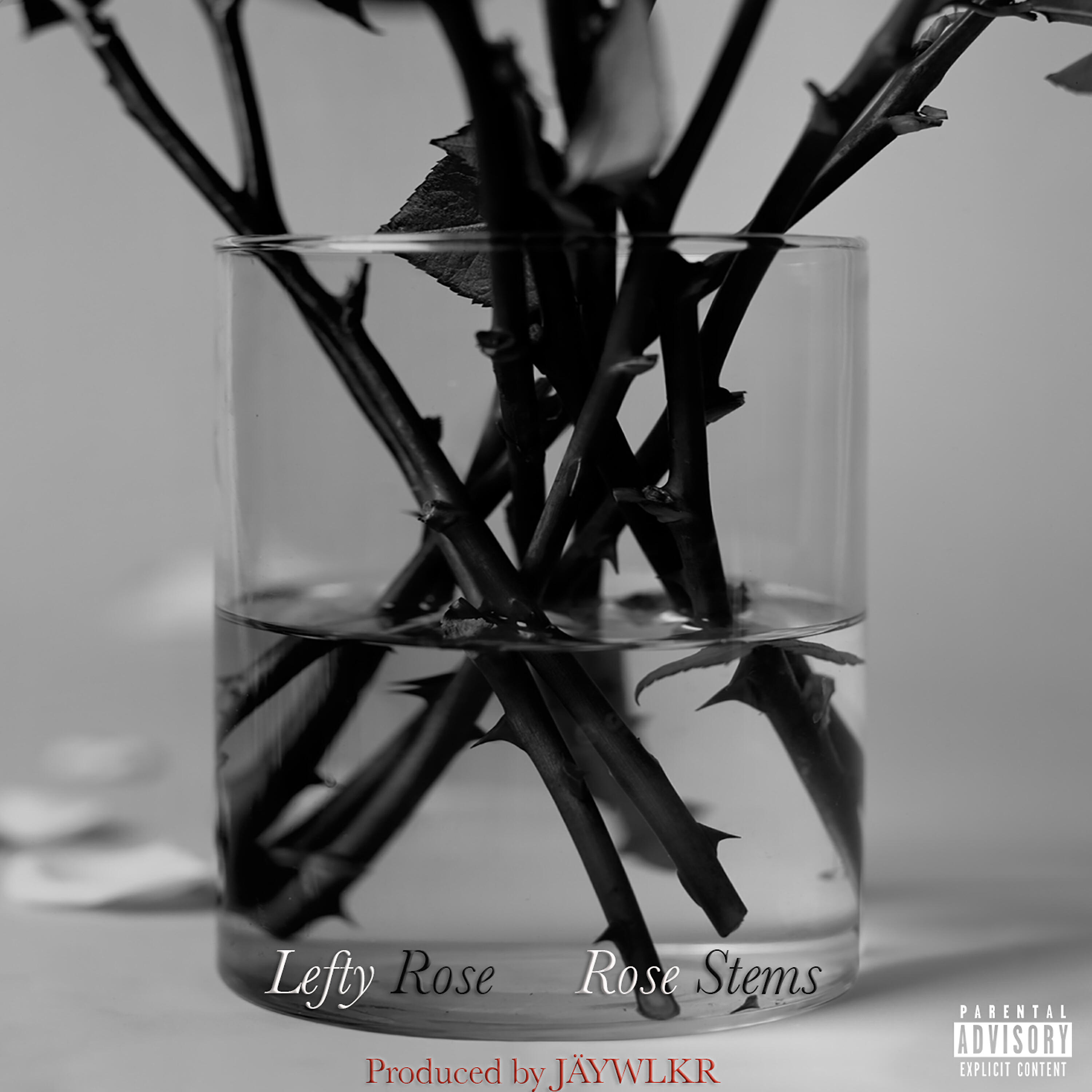 Релиз Rose Stems