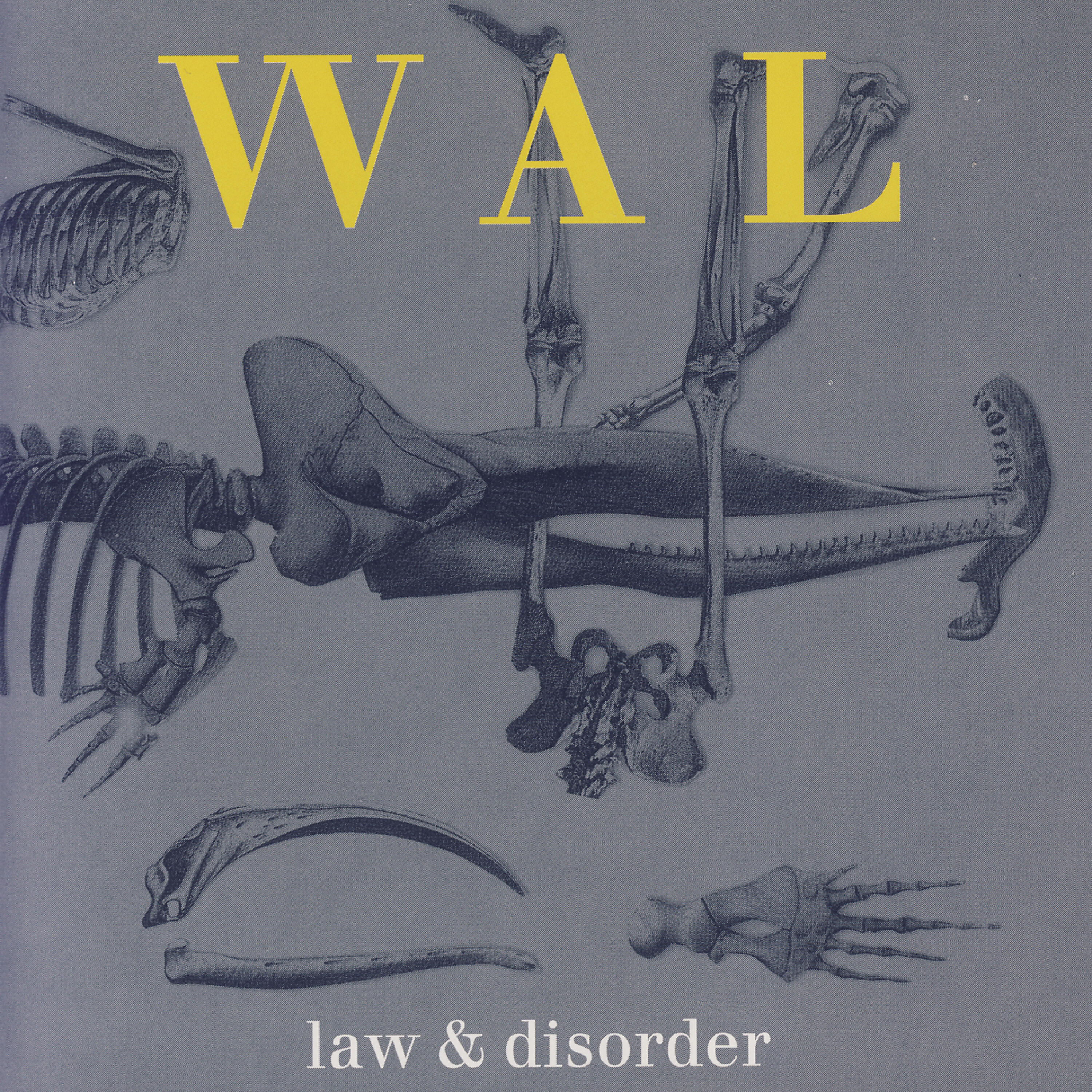 Релиз Law & Disorder