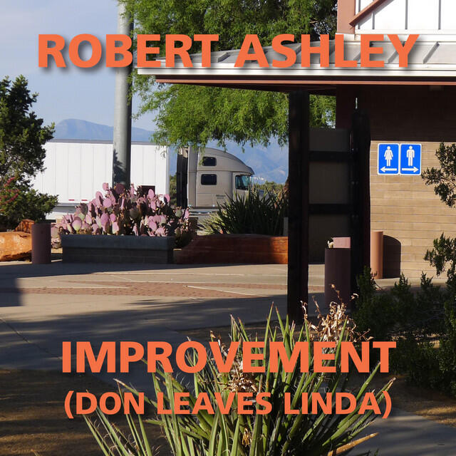 Релиз Improvement (Don Leaves Linda)