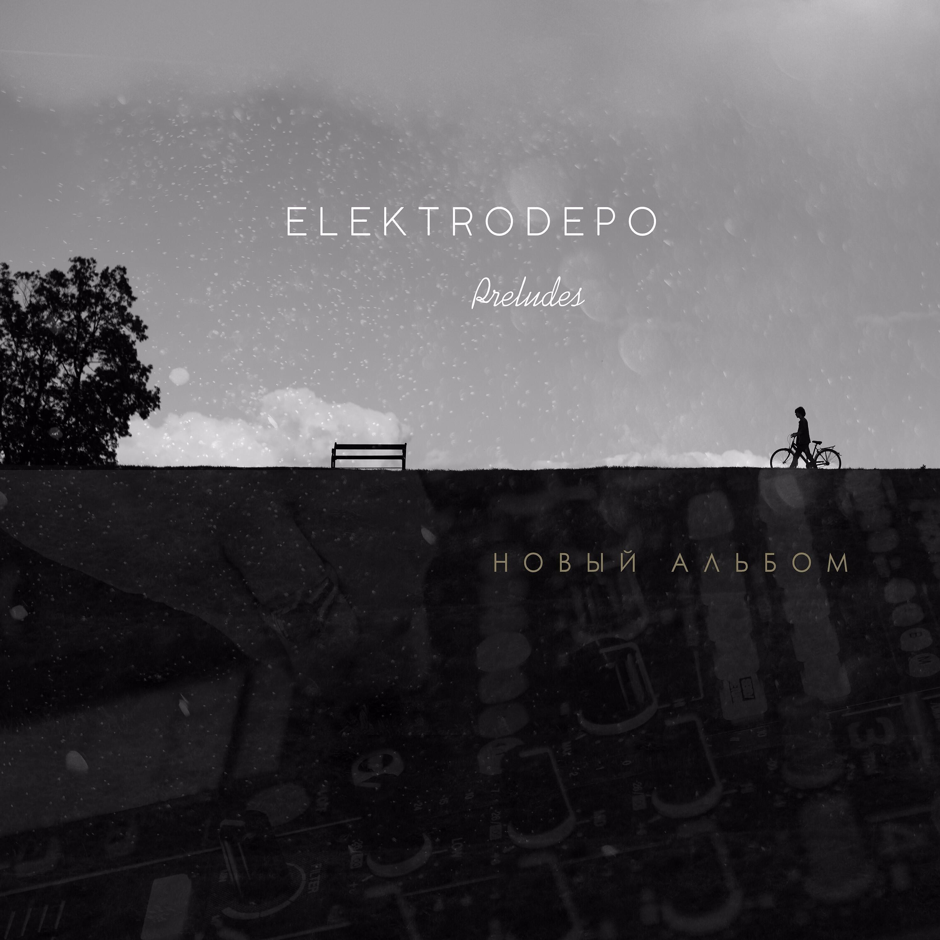 Elektrodepo