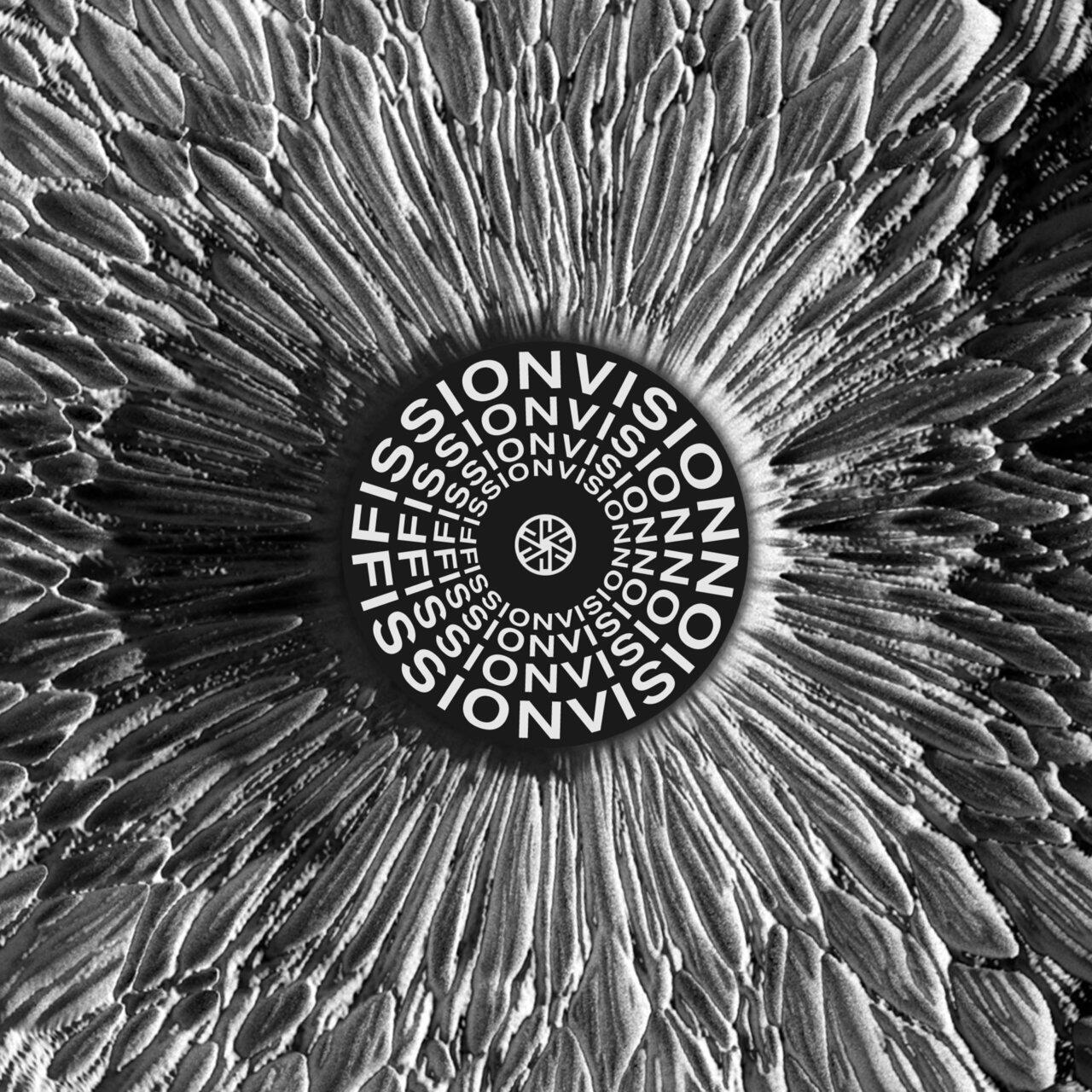 Релиз Fission Vision