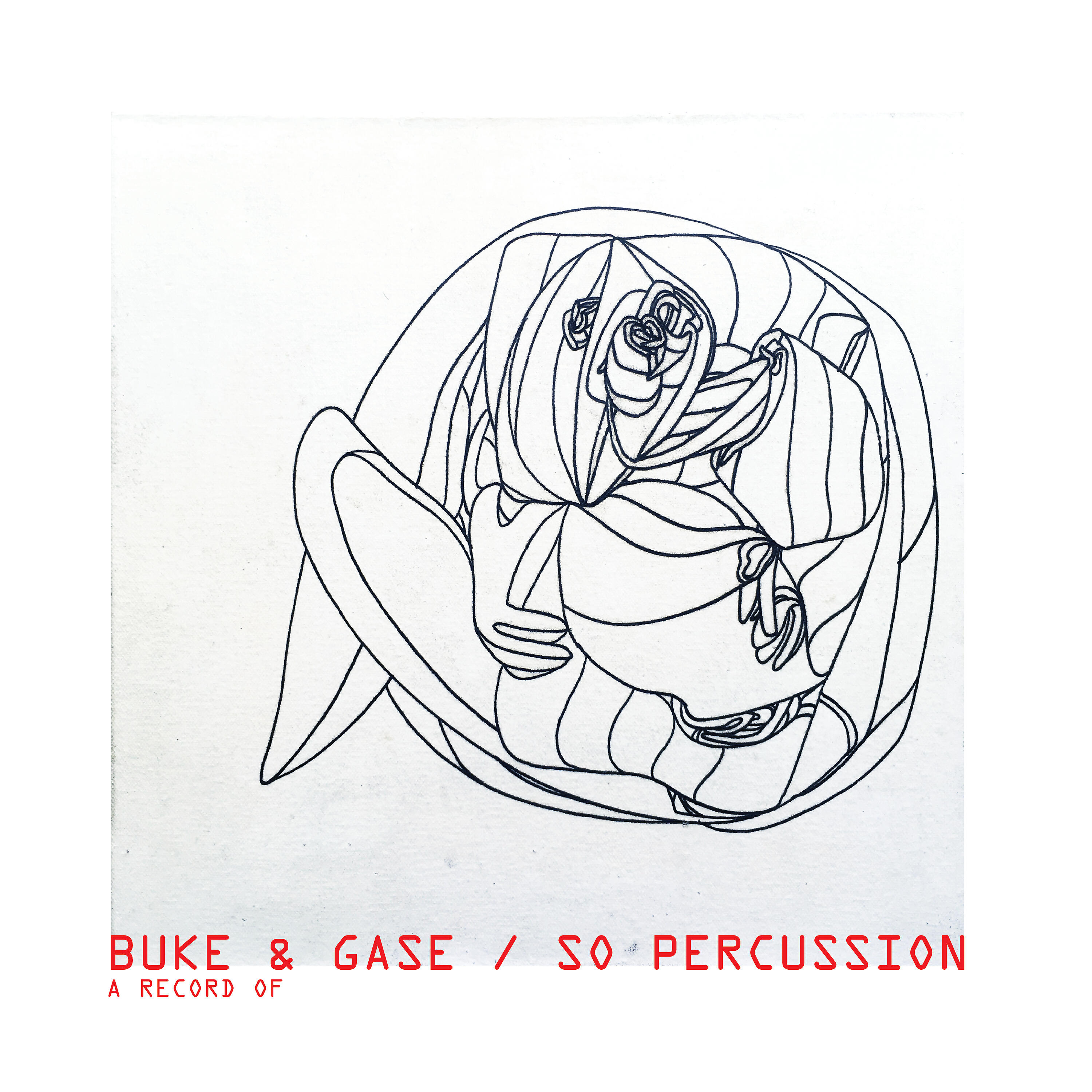 Релиз A Record Of