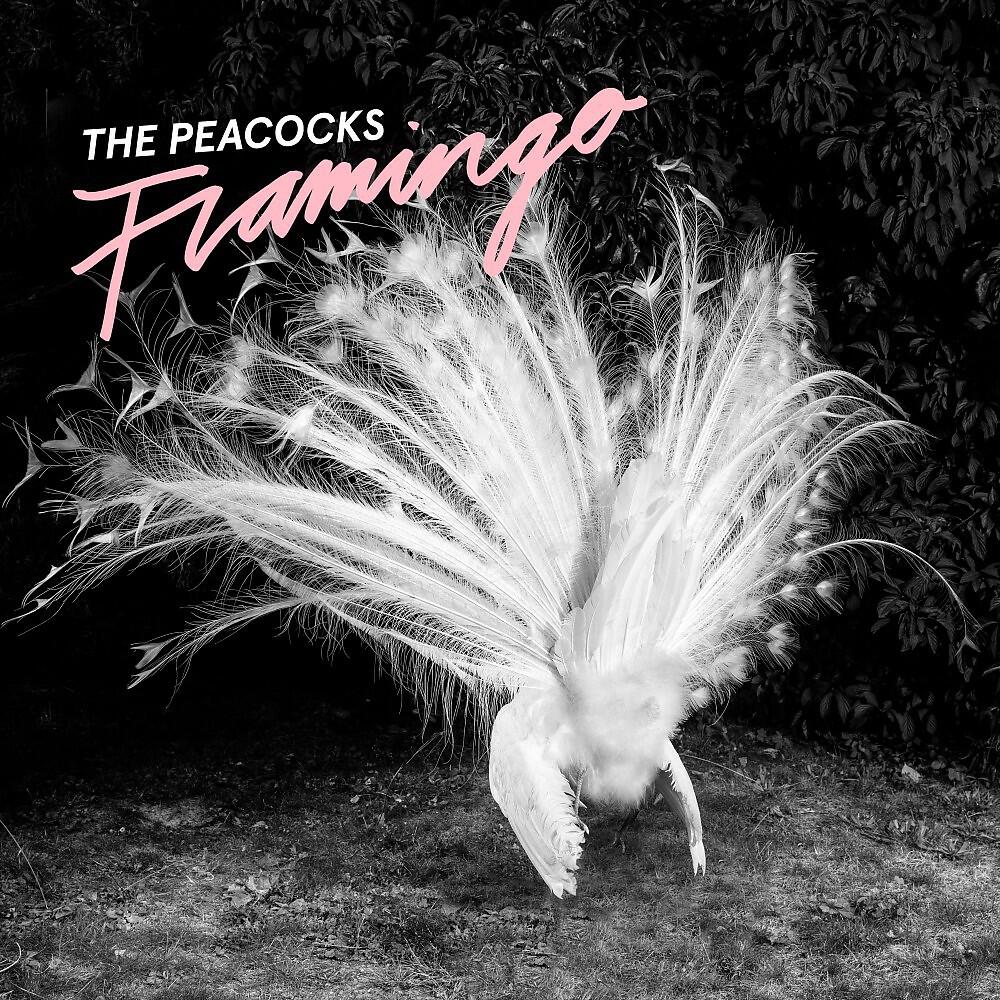 Релиз Flamingo