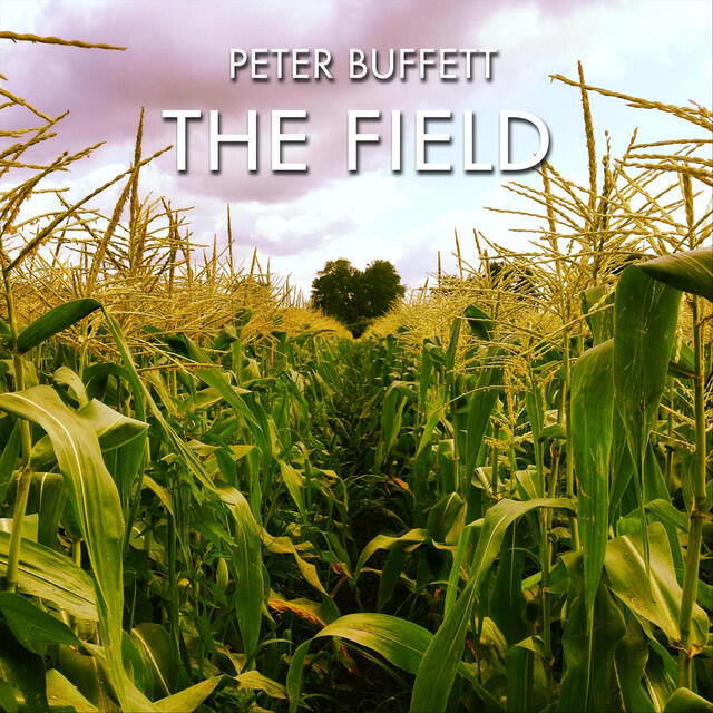 Релиз The Field