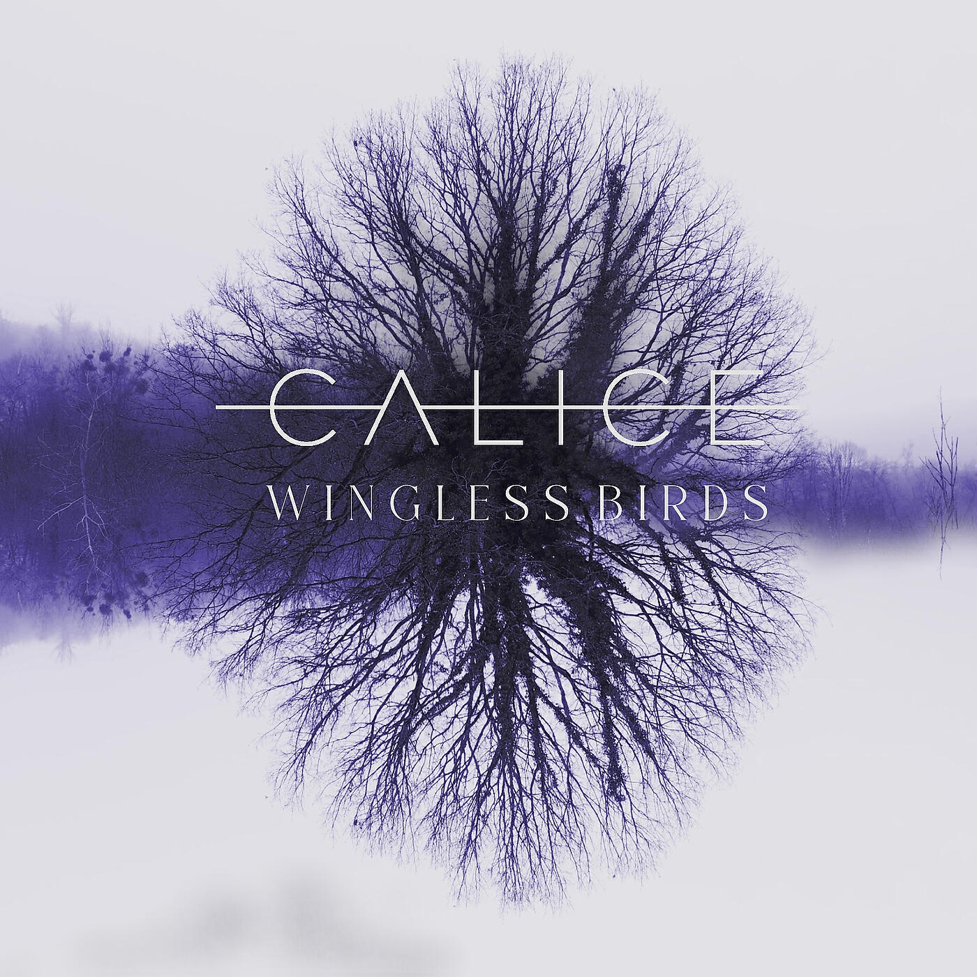 Релиз Wingless Birds