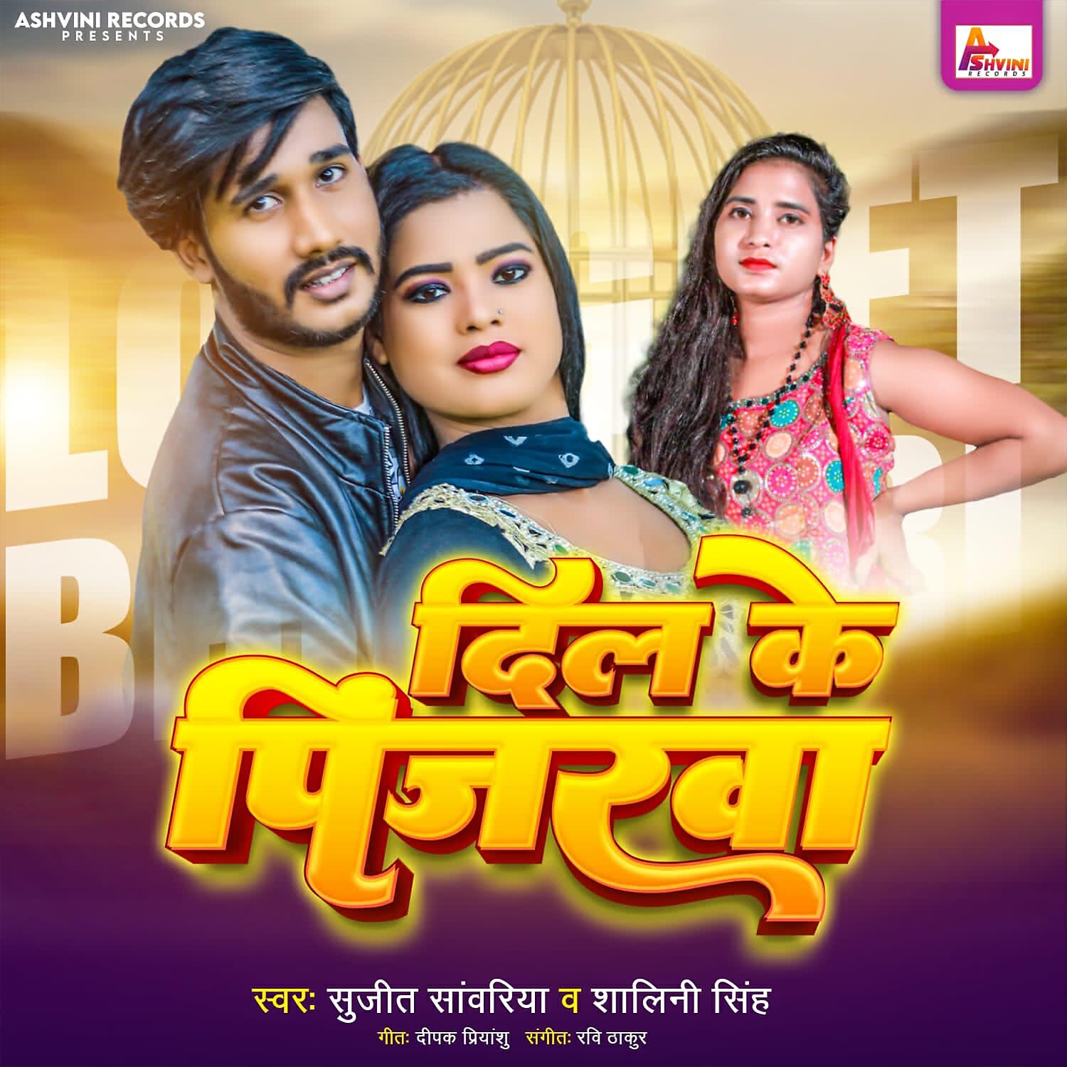 Релиз Dil Ke Pinjrva