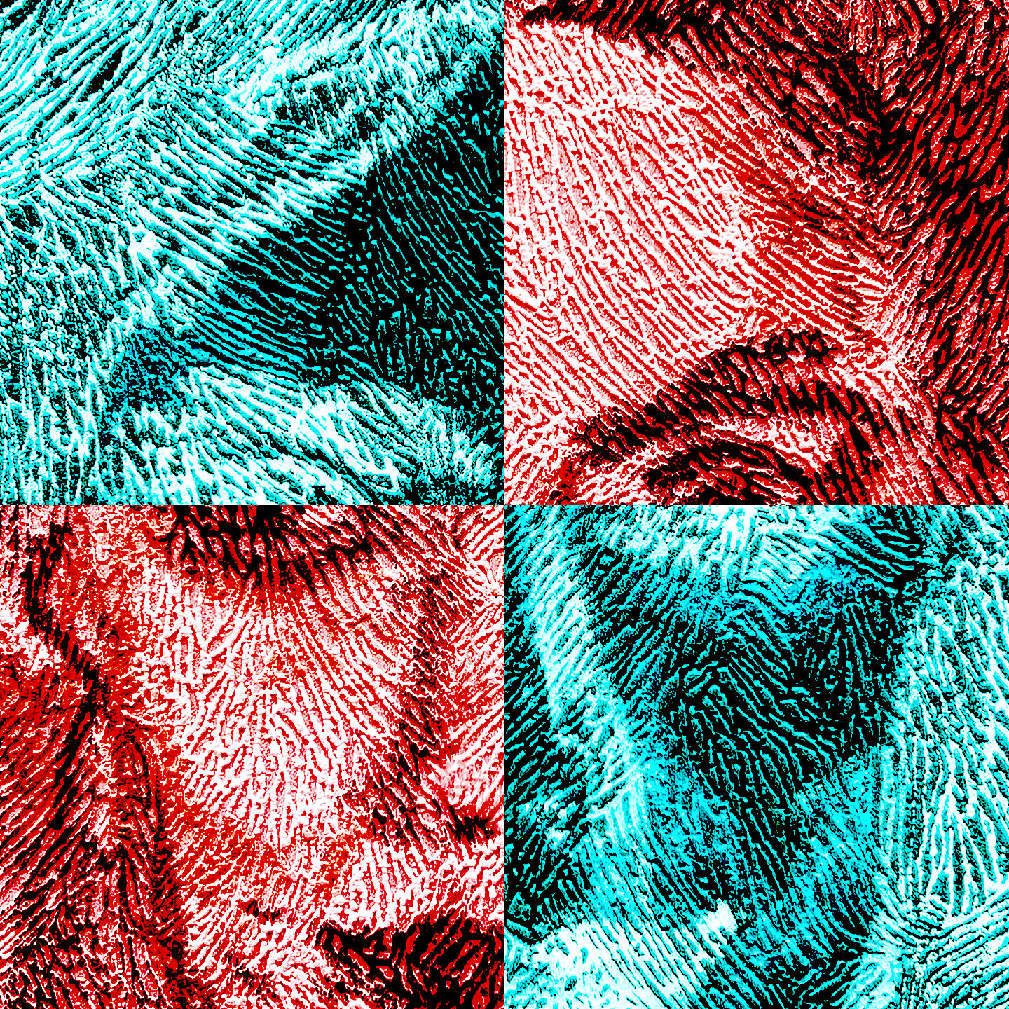 Релиз Amiga Sincera