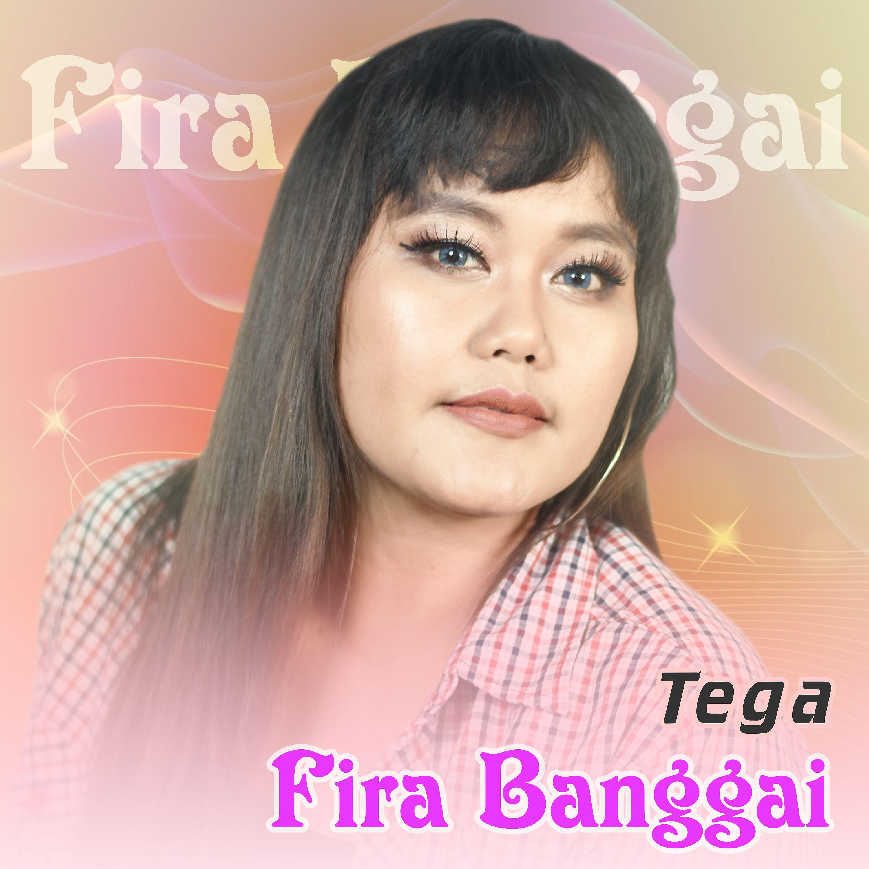Релиз Tega