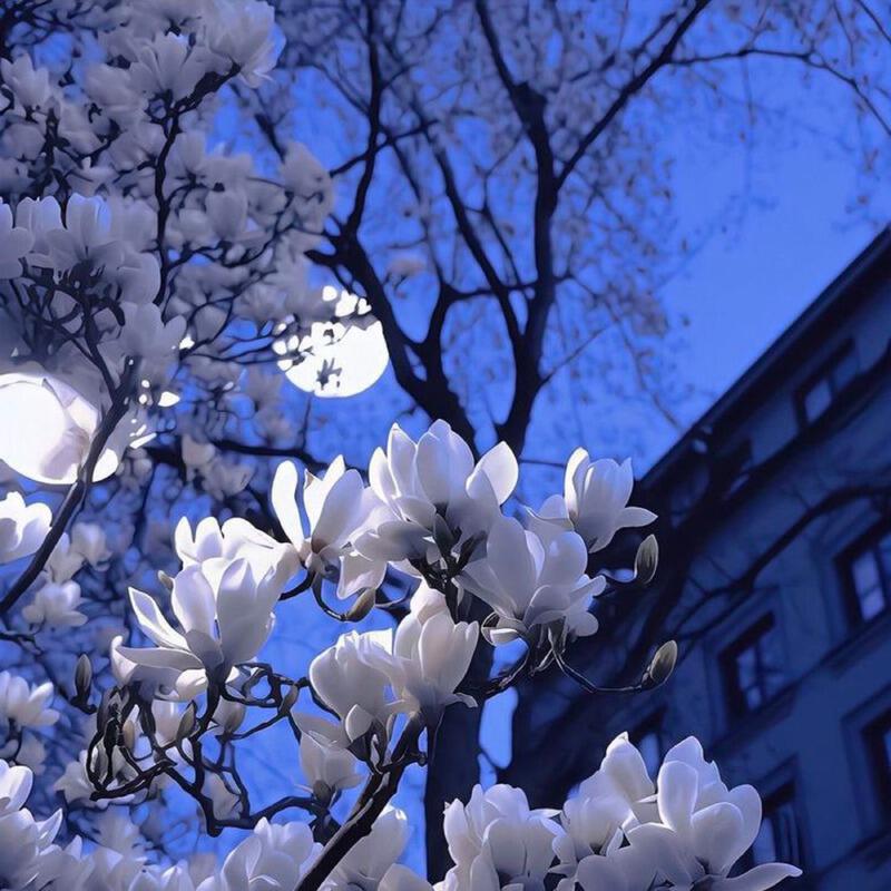 Релиз ADHD prod. vuksai