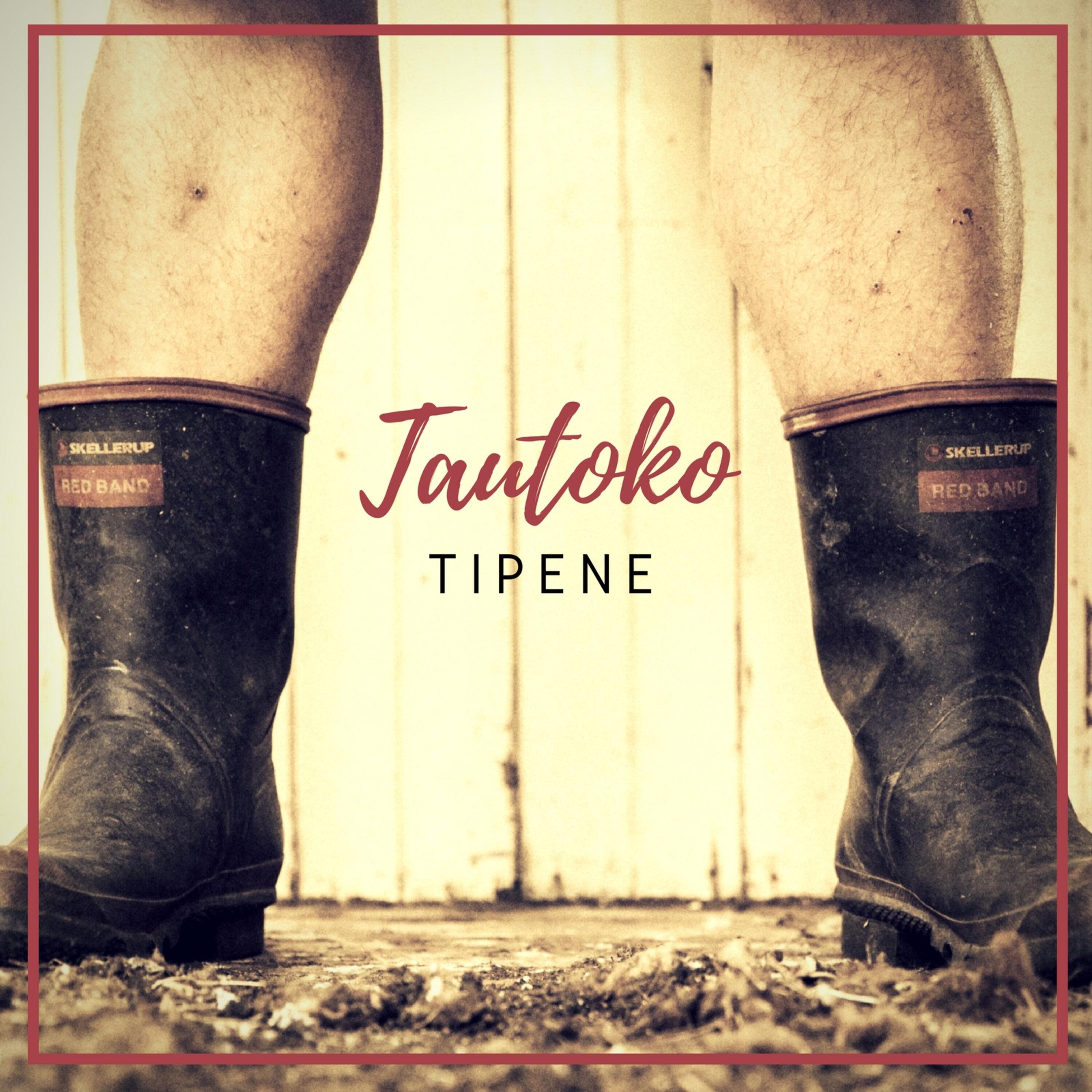 Релиз Tautoko