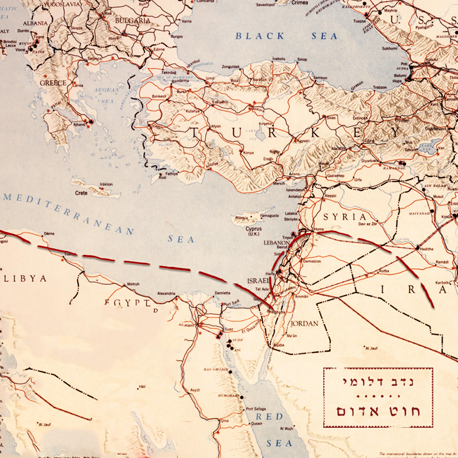 נדב דלומי