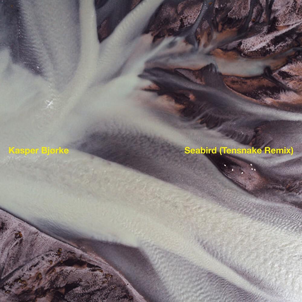Релиз Seabird (Tensnake Remix)