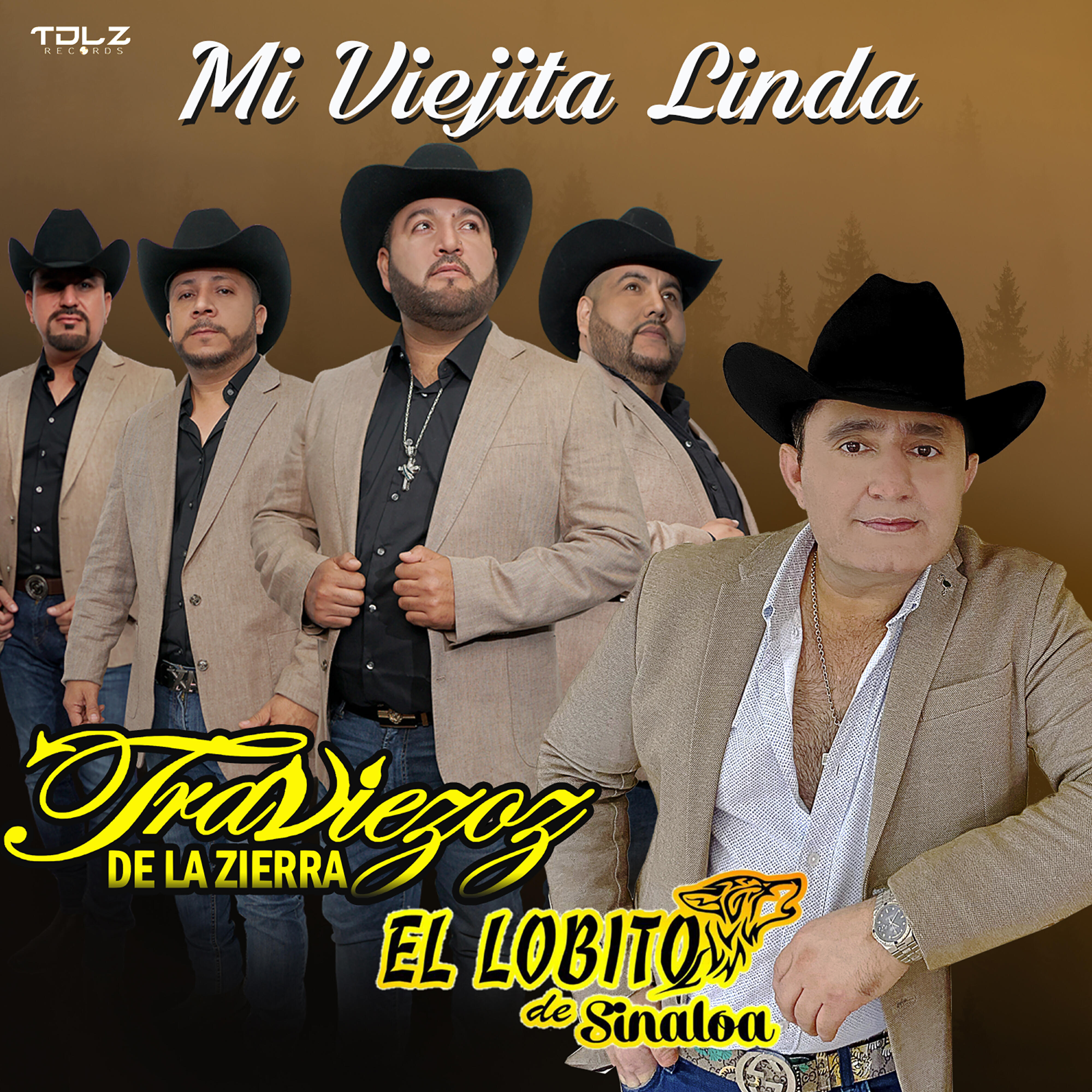 Релиз Mi Viejita Linda