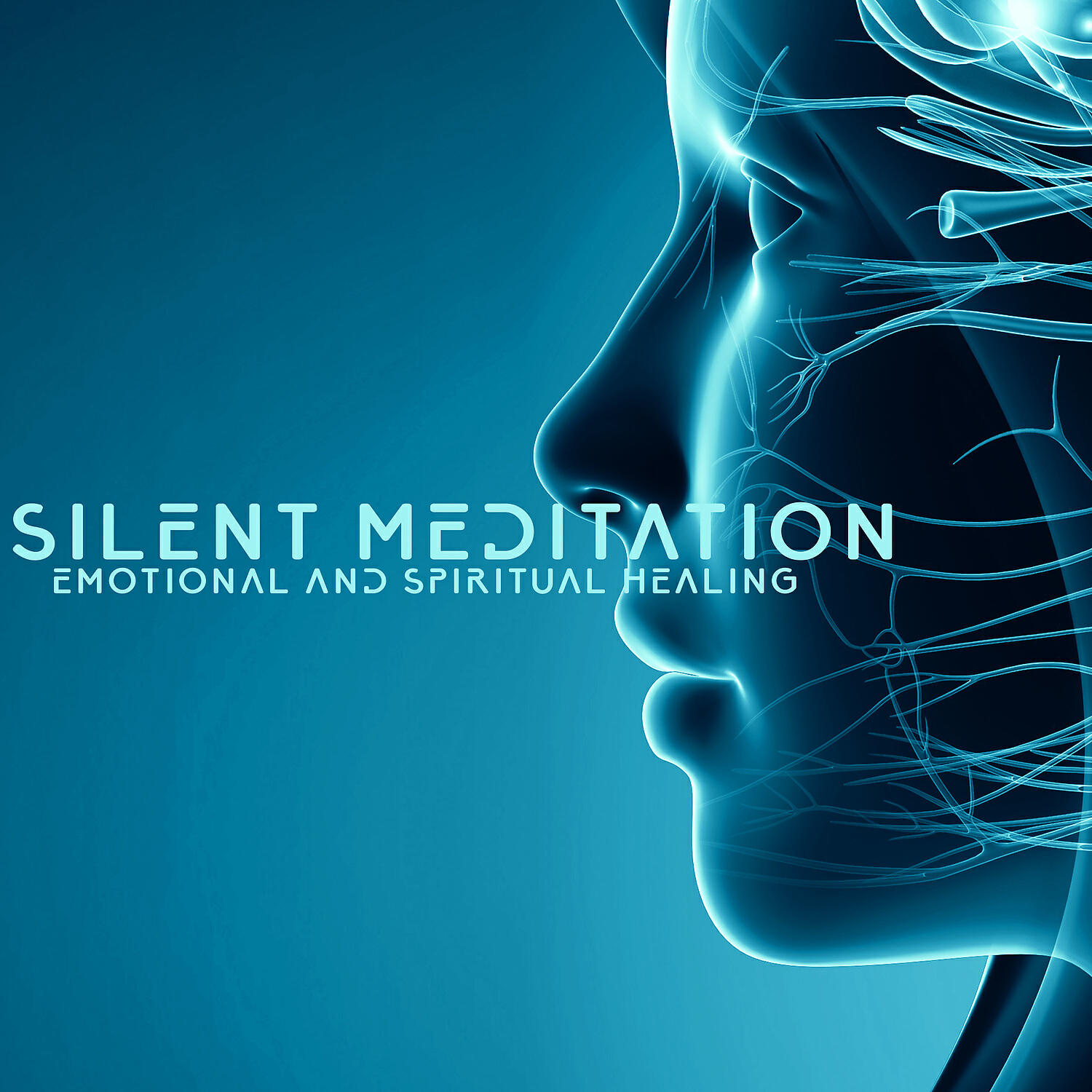 Постер альбома Silent Meditation: Emotional and Spiritual Healing