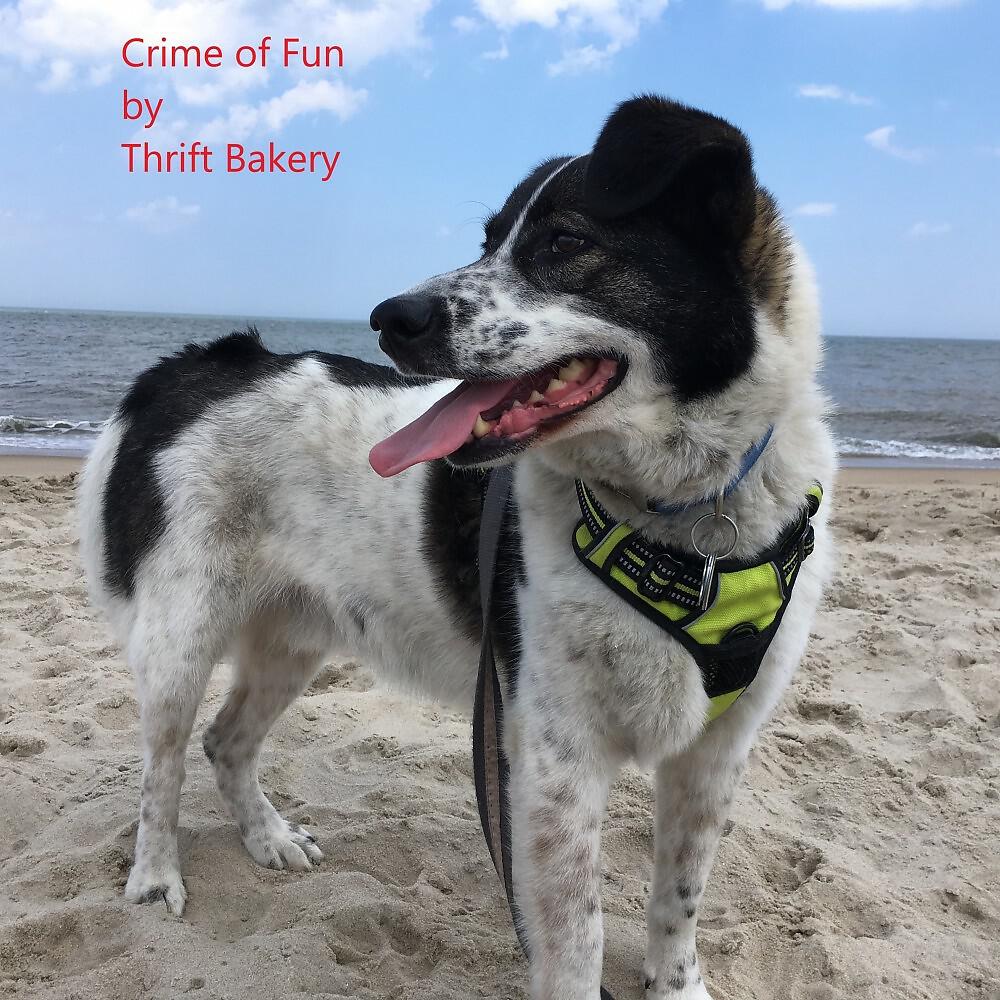 Релиз Crime of Fun