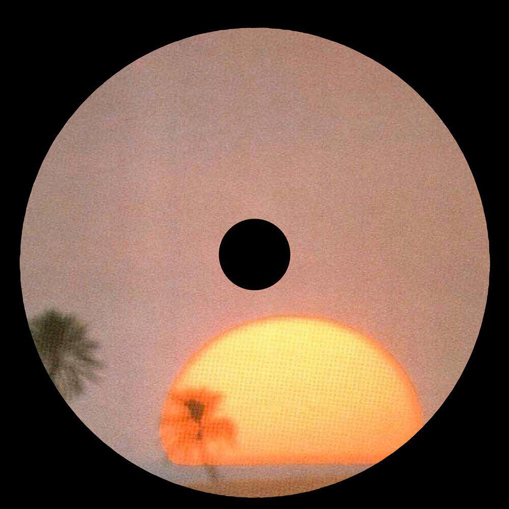 Релиз You're never loving me (Disco Version)