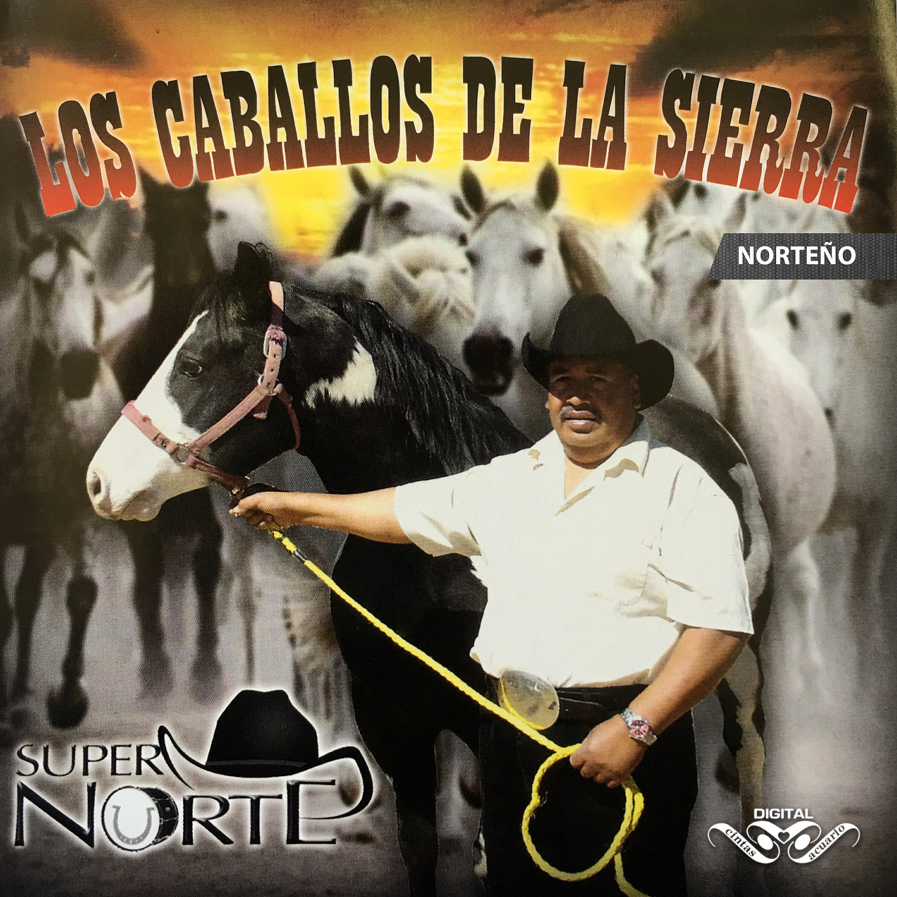 Super Norte