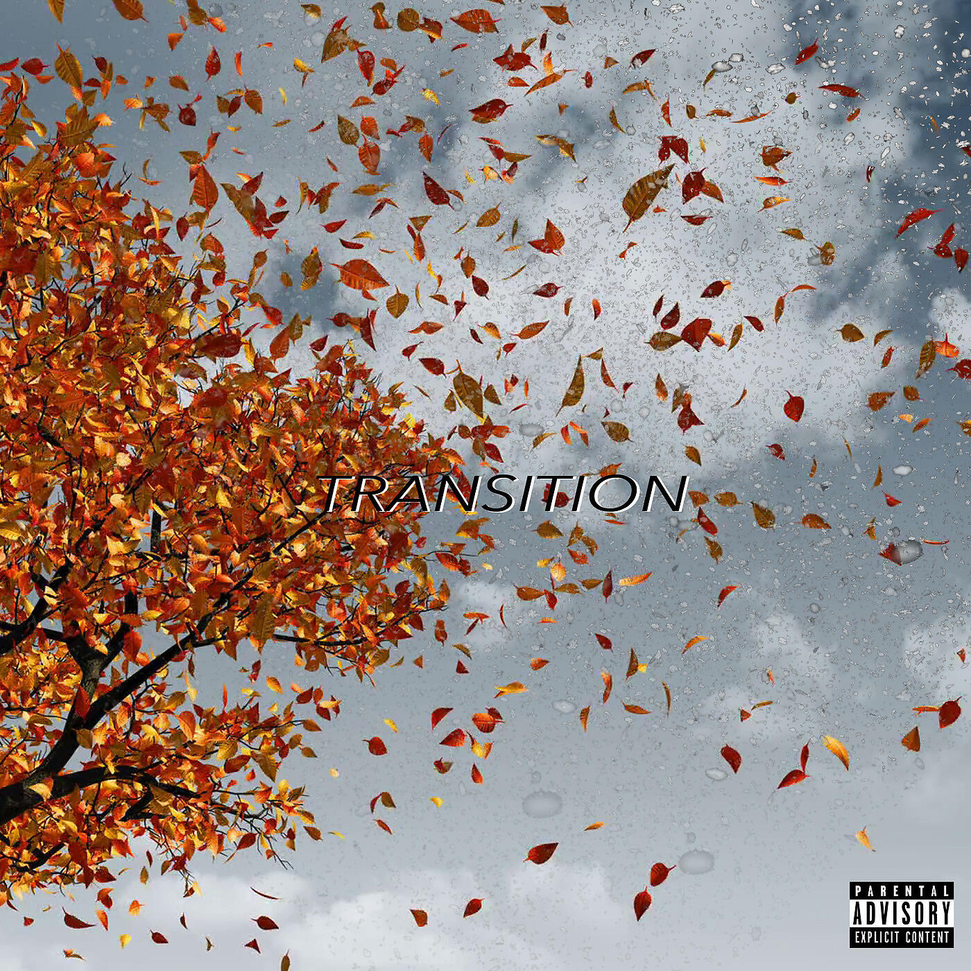 Релиз Transition