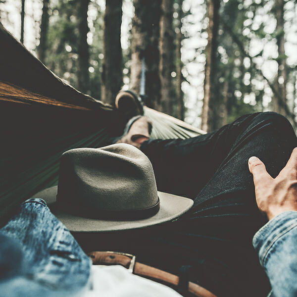 Релиз Music Under The Trees