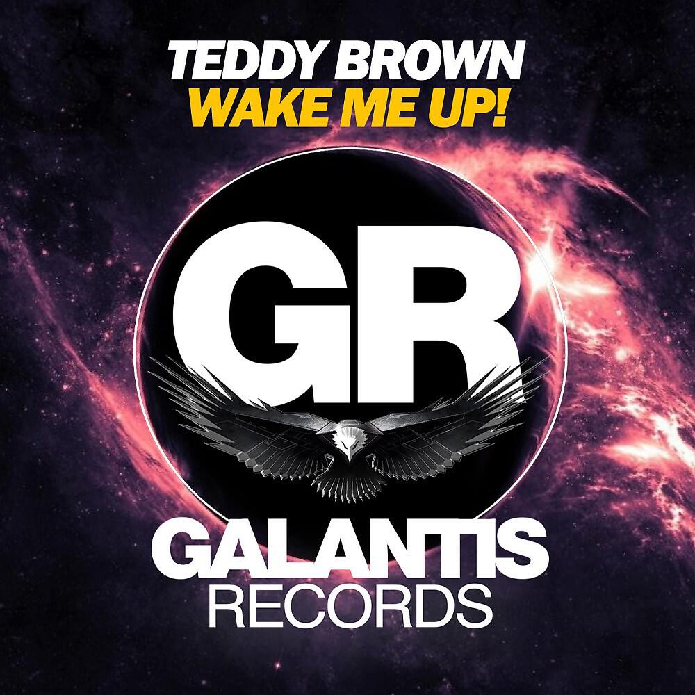 Релиз Wake Me Up!