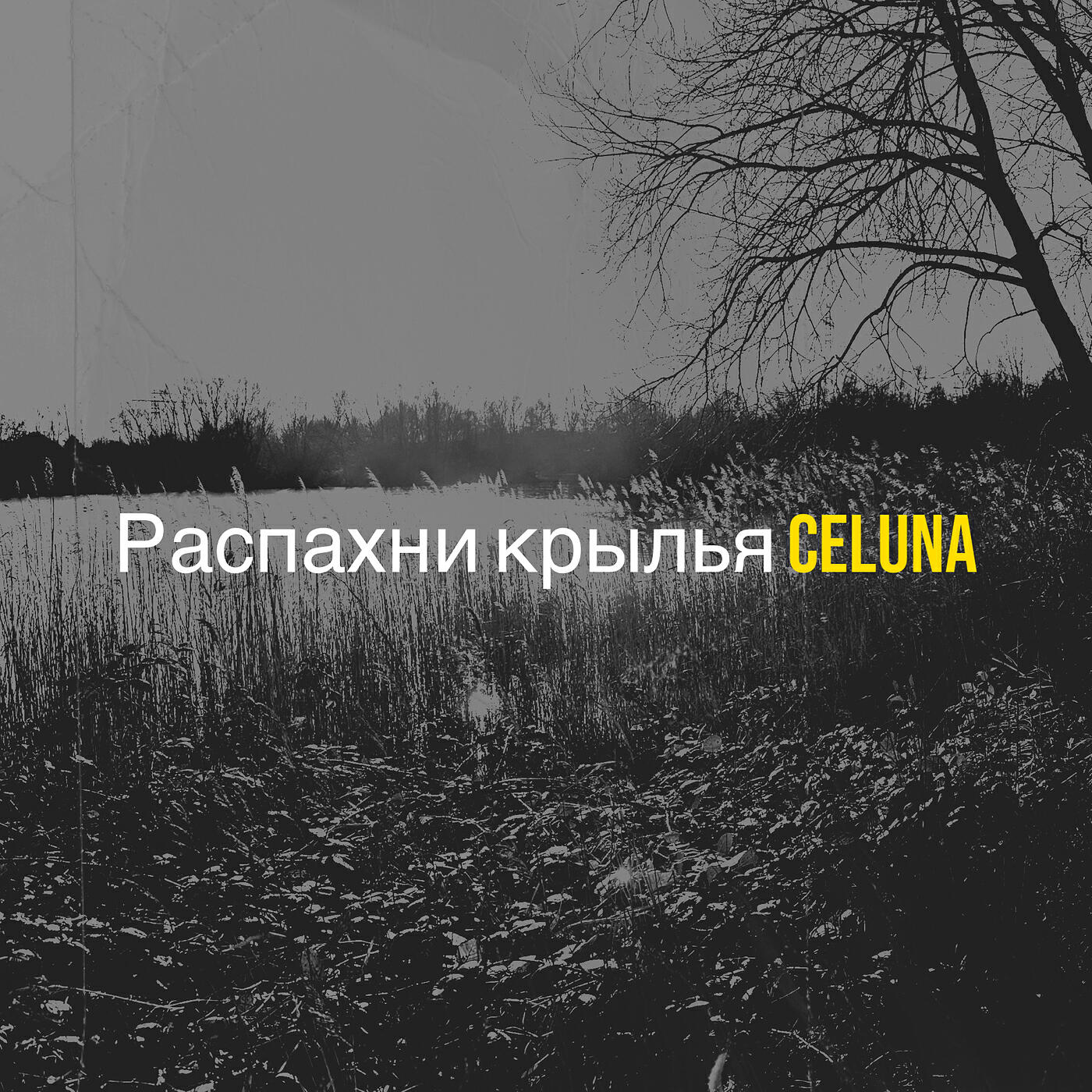 Релиз Распахни крылья
