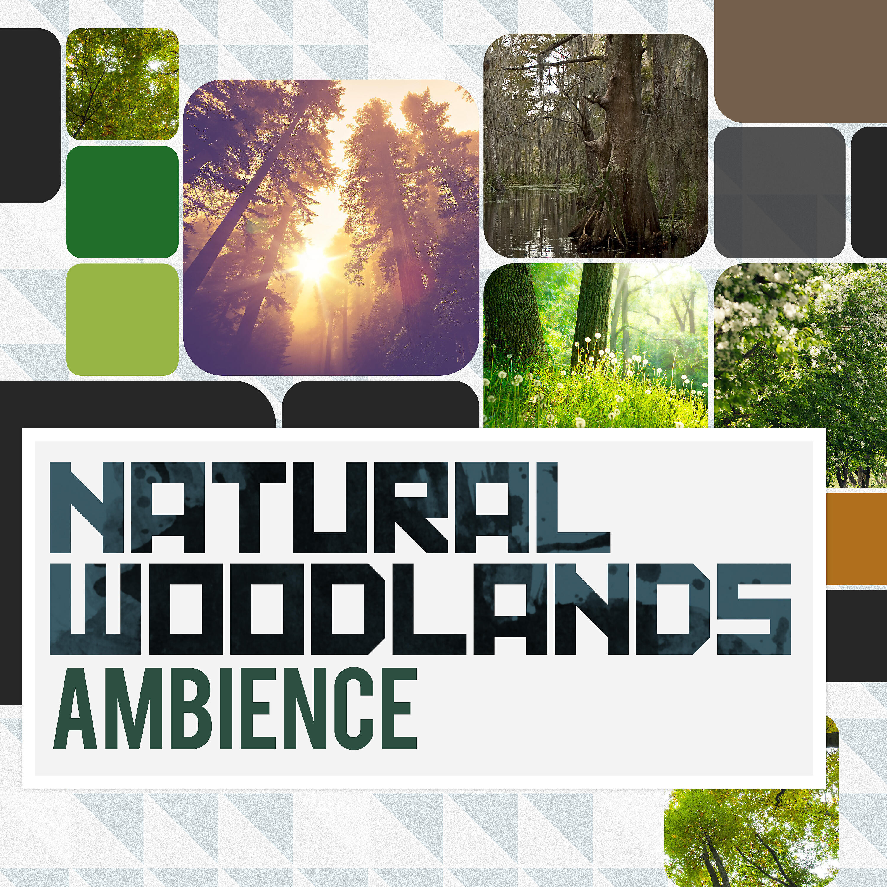 Релиз Natural Woodlands: Ambience
