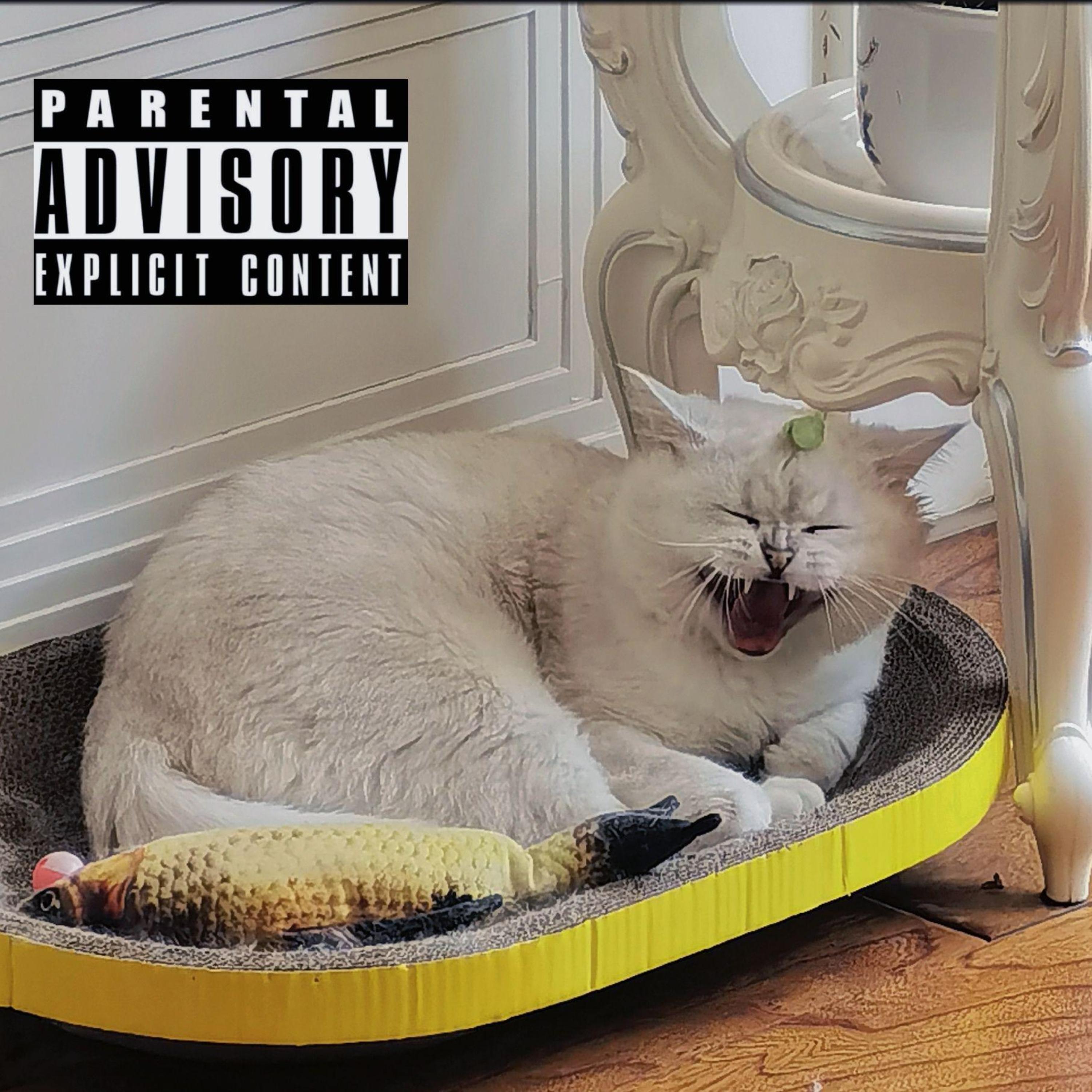 Релиз 三千赫兹