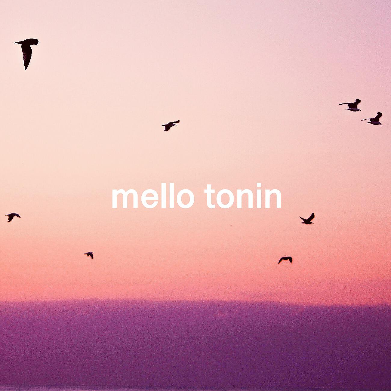 Релиз Birdsong