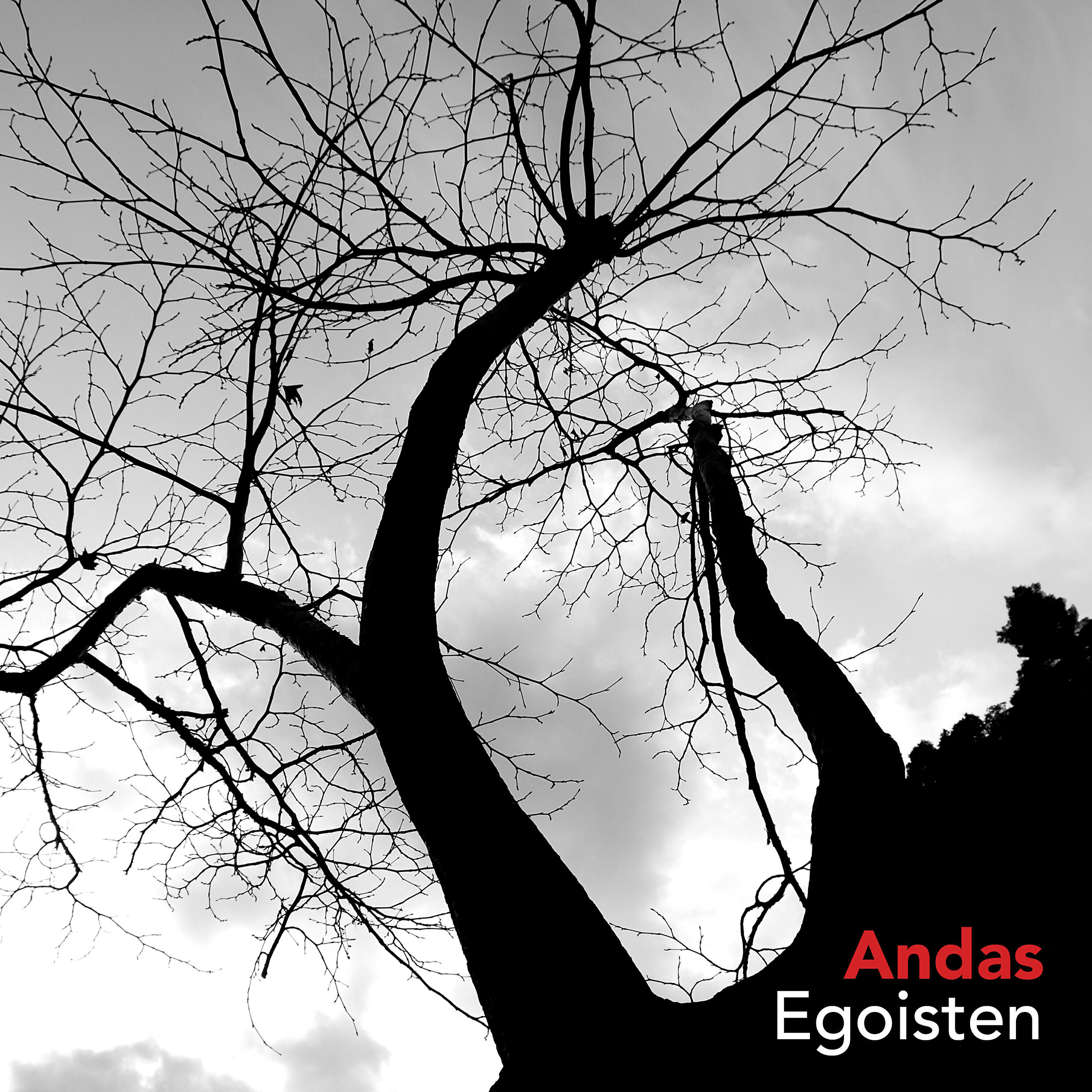 Andas