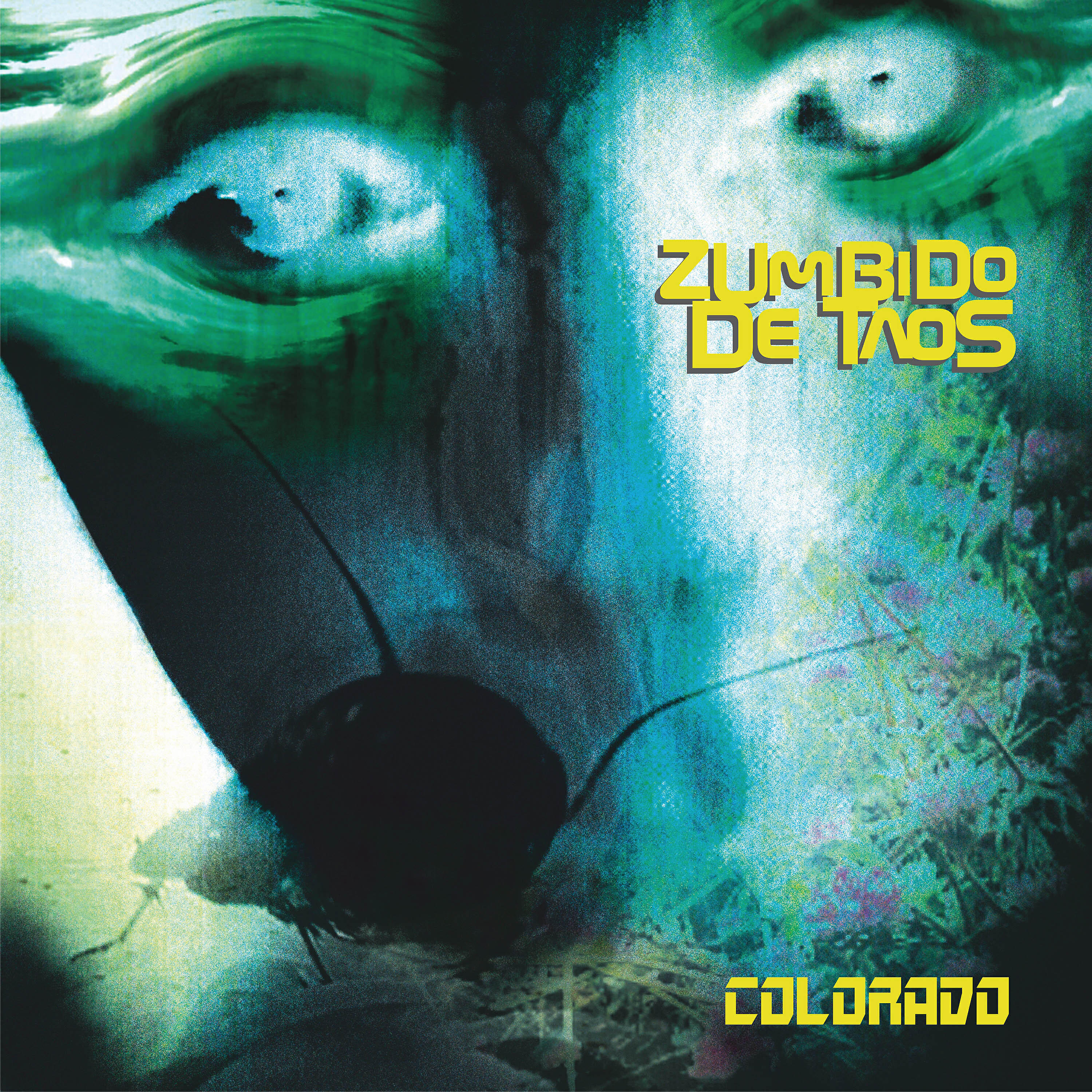 Zumbido de Taos