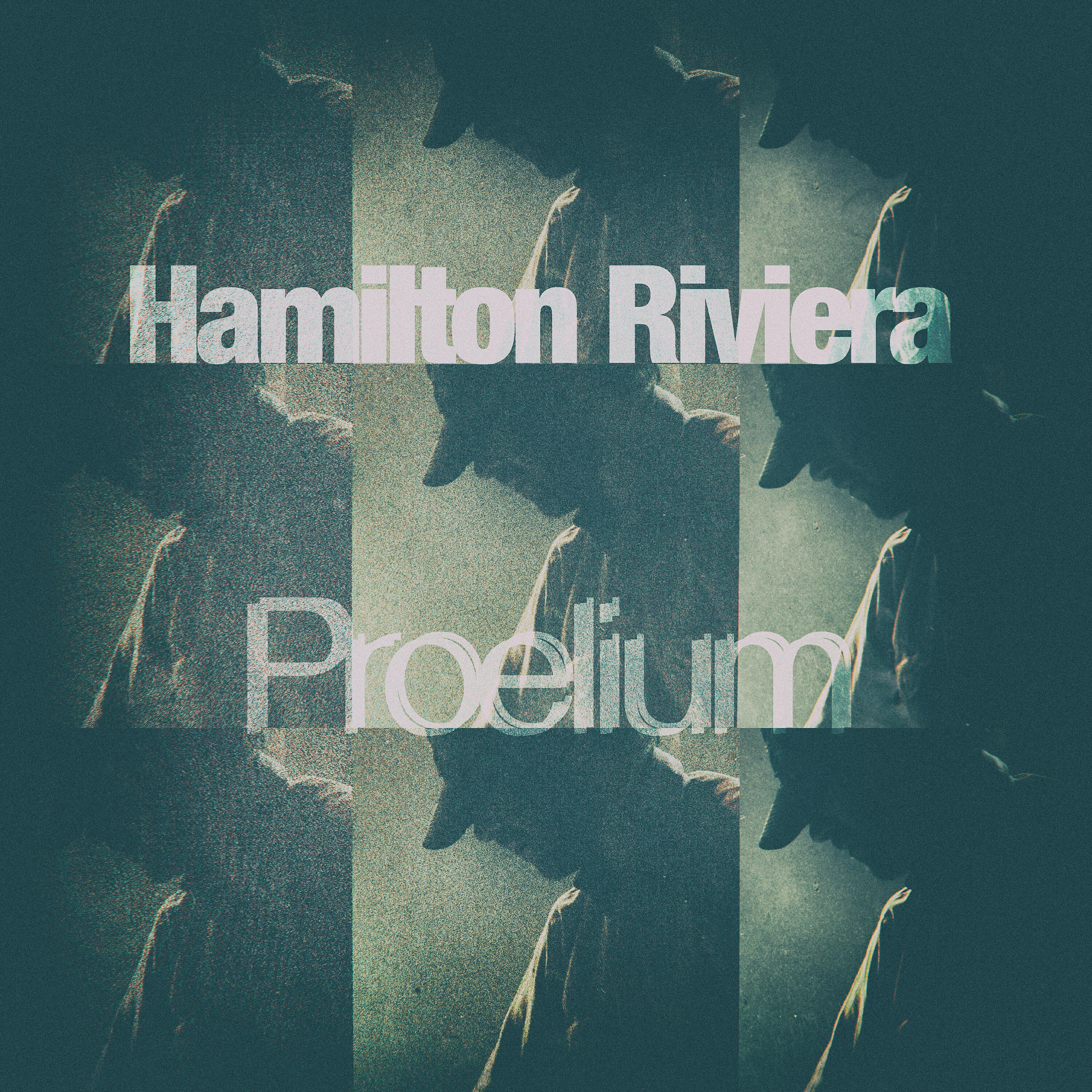 Hamilton Riviera
