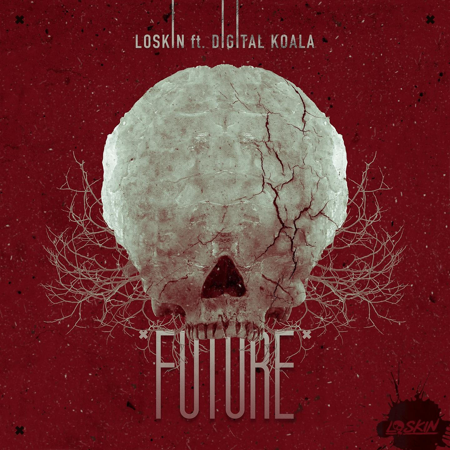 Loskin & Digital Koala