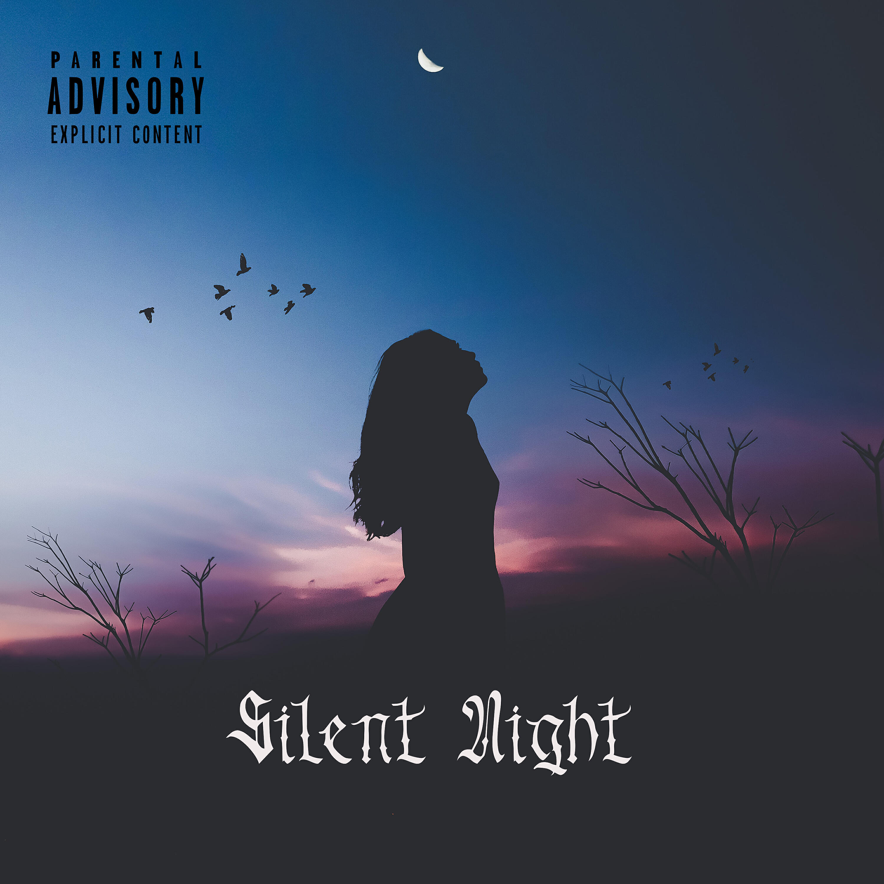 Релиз Silent Night