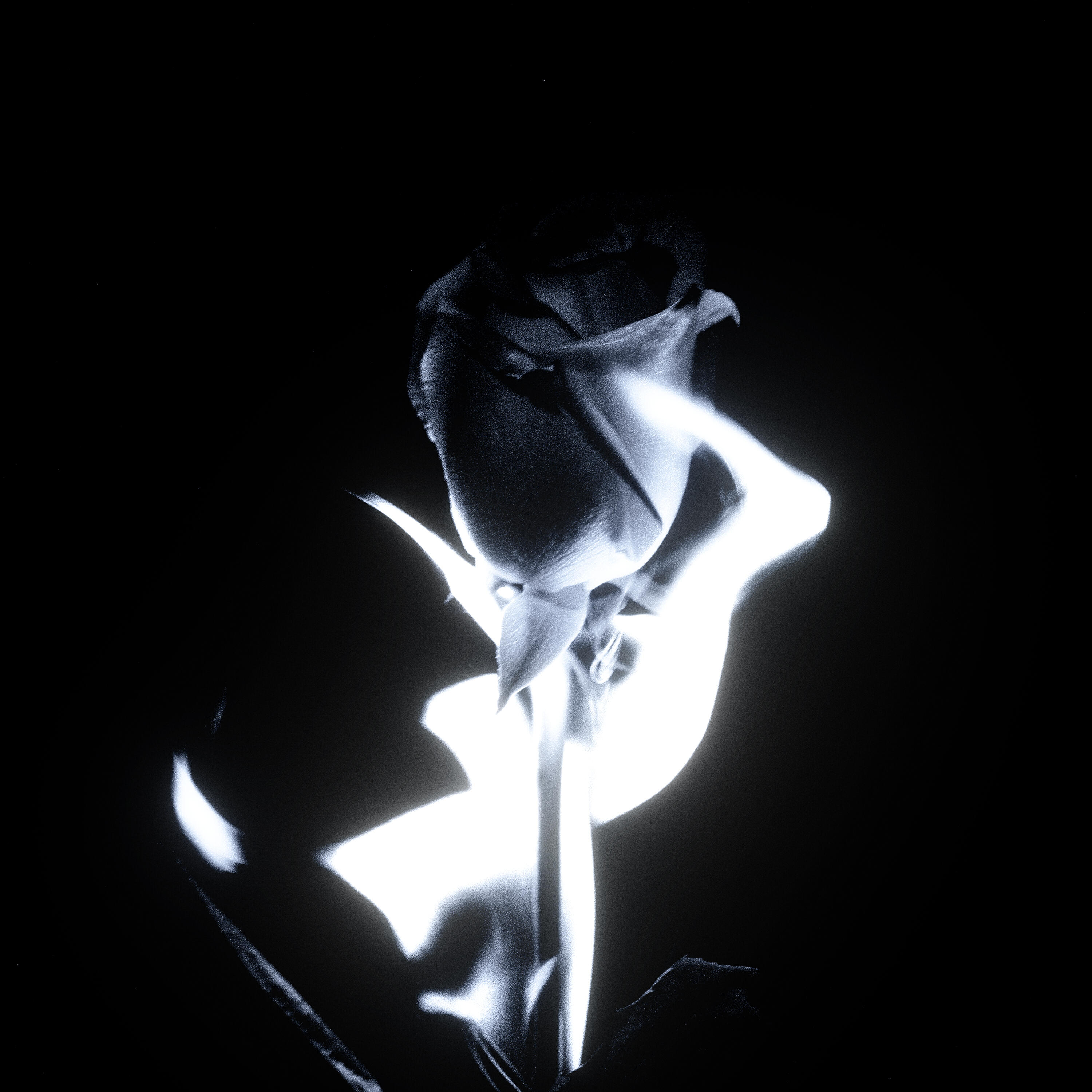 Релиз Black+White
