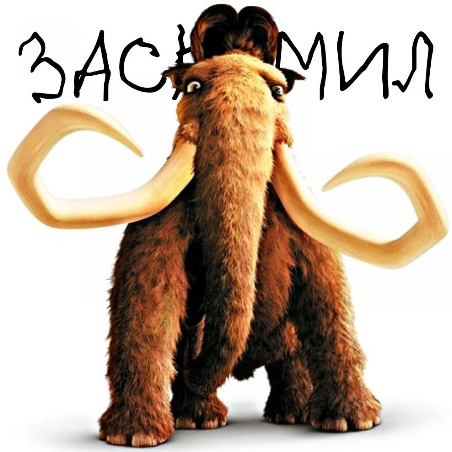 Постер альбома Заскамил