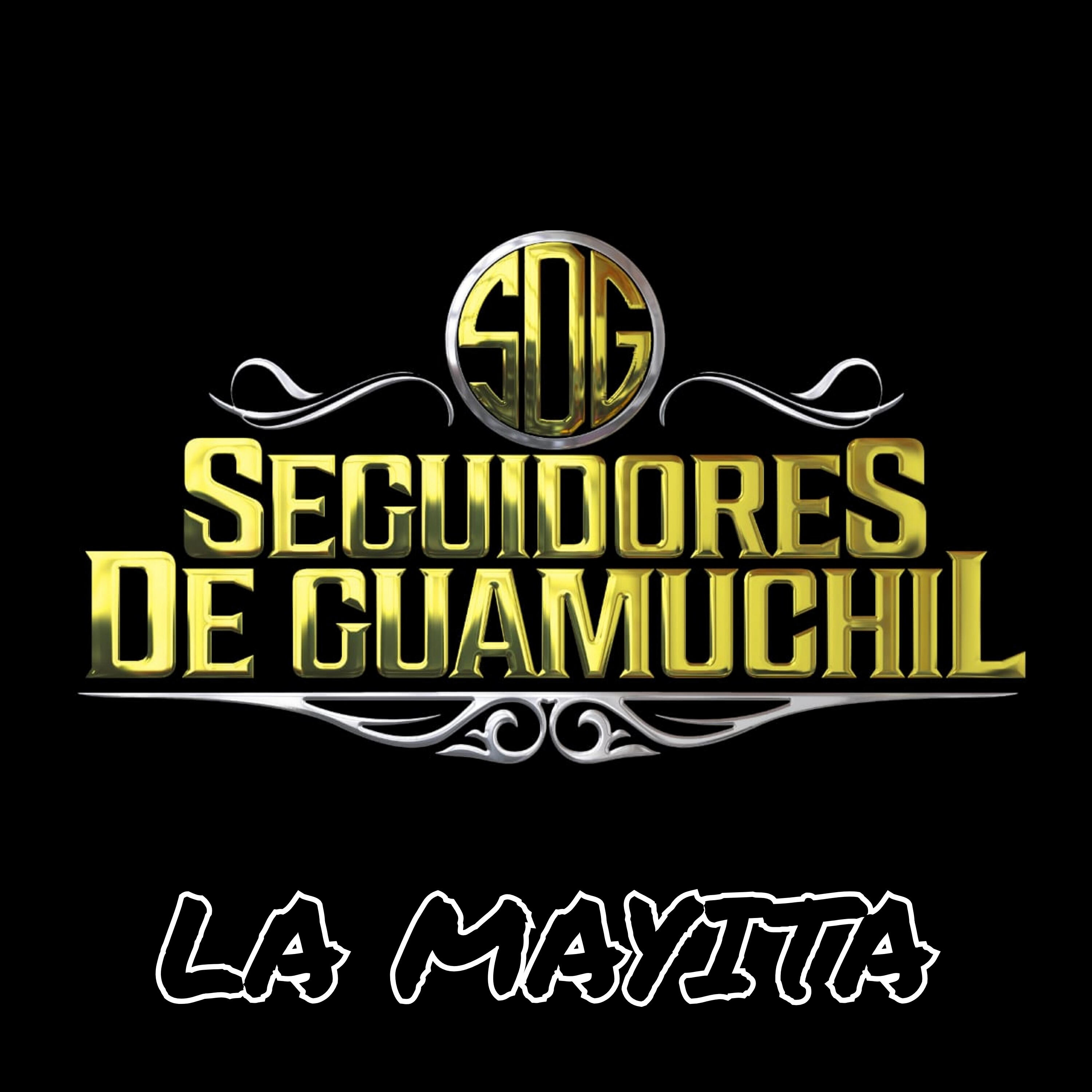 Seguidores de guamuchil