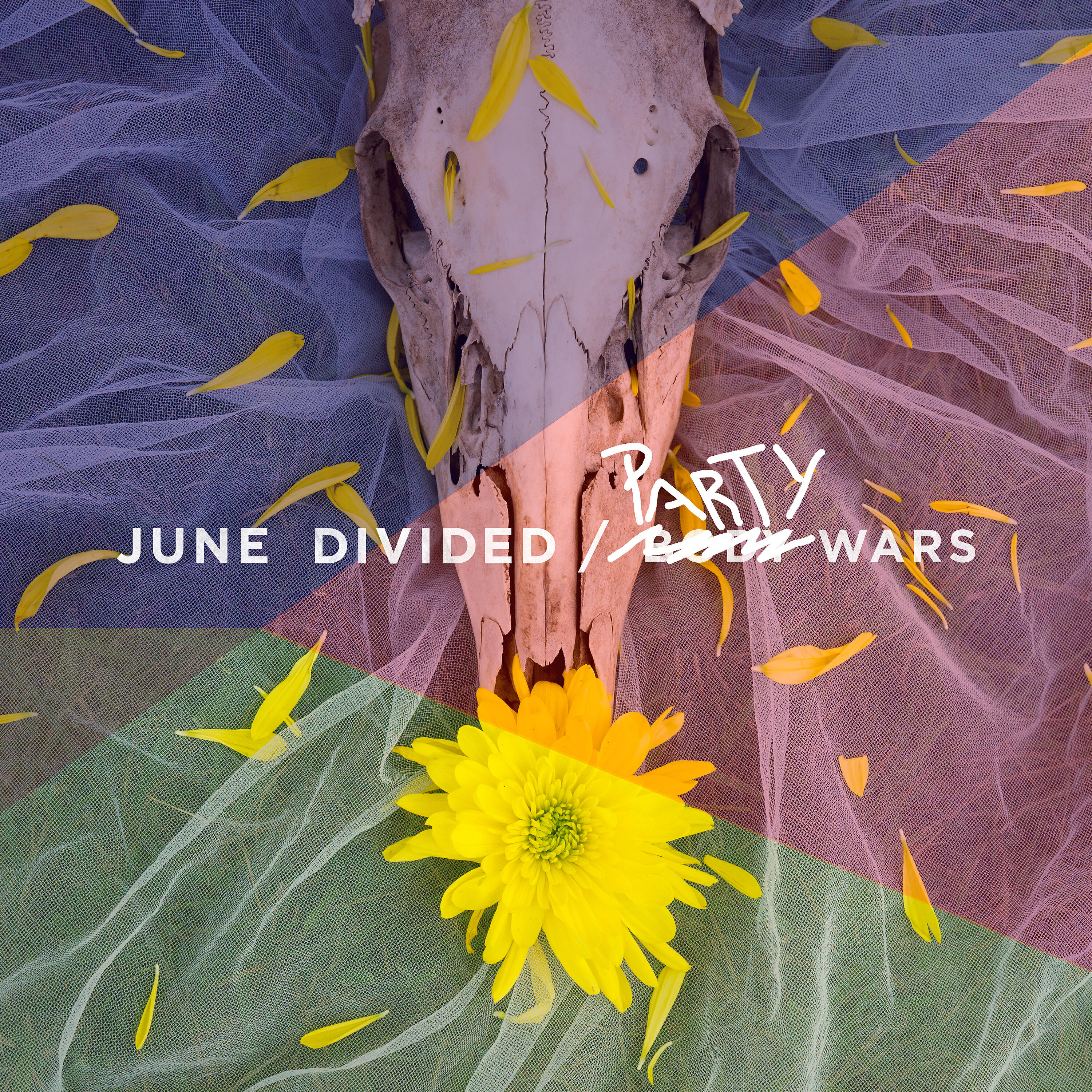 Релиз Firestarter (Party Wars Re-Mix)